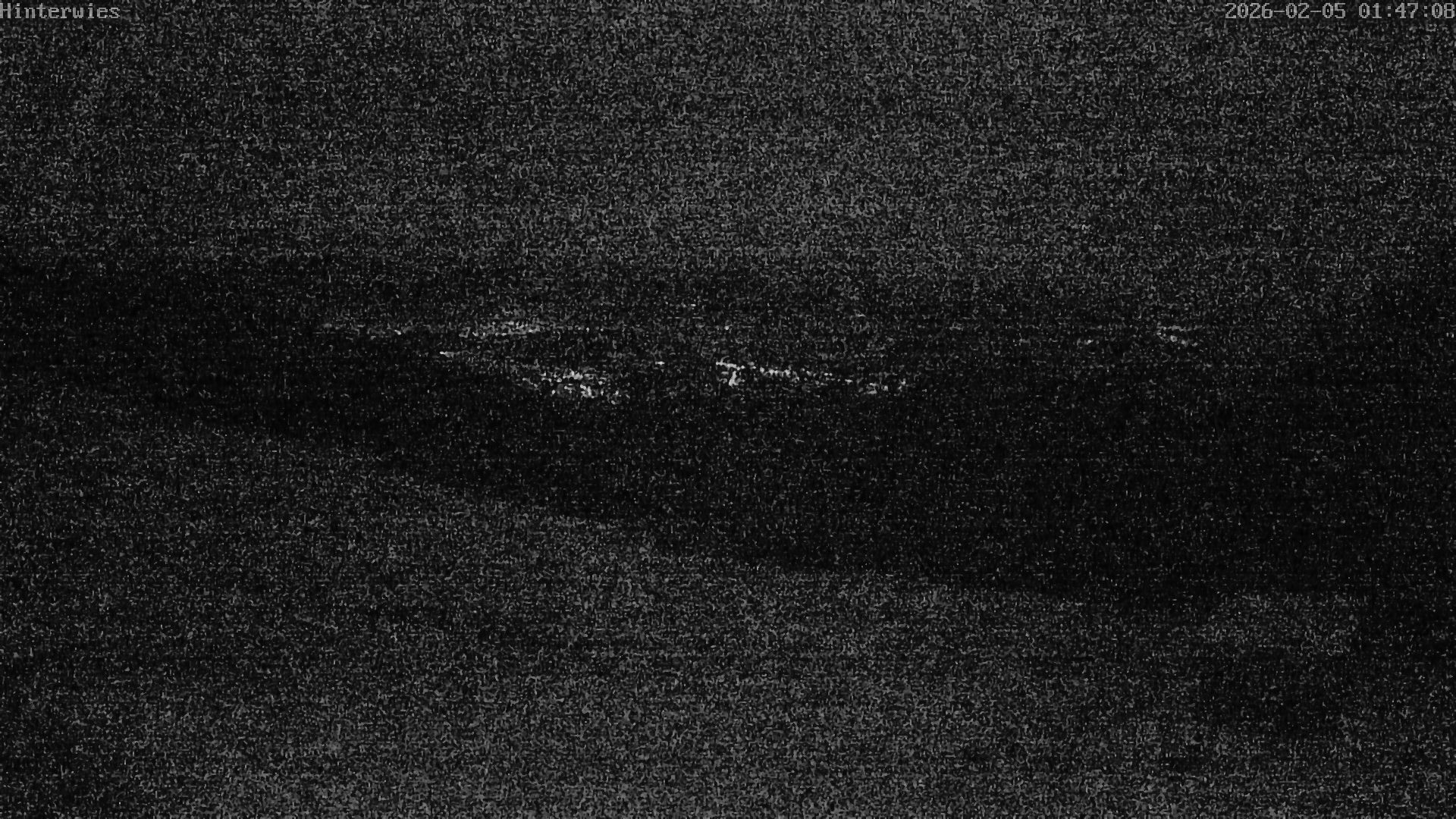 Archiv Foto Webcam Wetterstation Sankt Englmar-Hinterwies