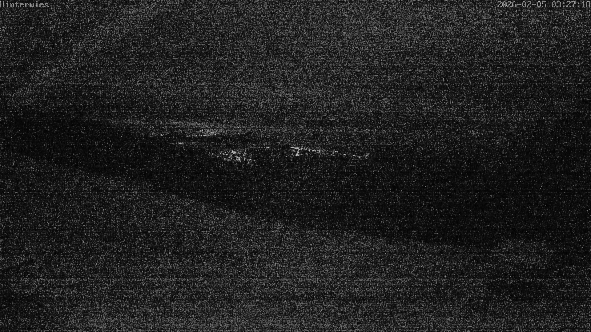 Archiv Foto Webcam Wetterstation Sankt Englmar-Hinterwies