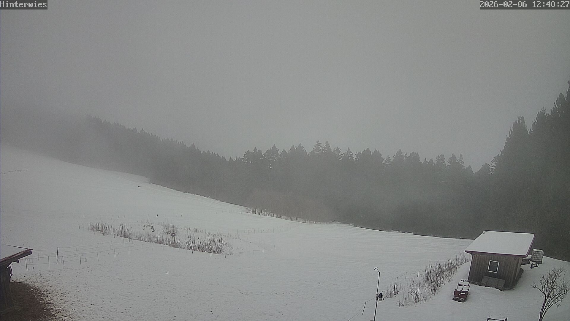 Archived image Webcam Weather Station St. Englmar-Hinterwies