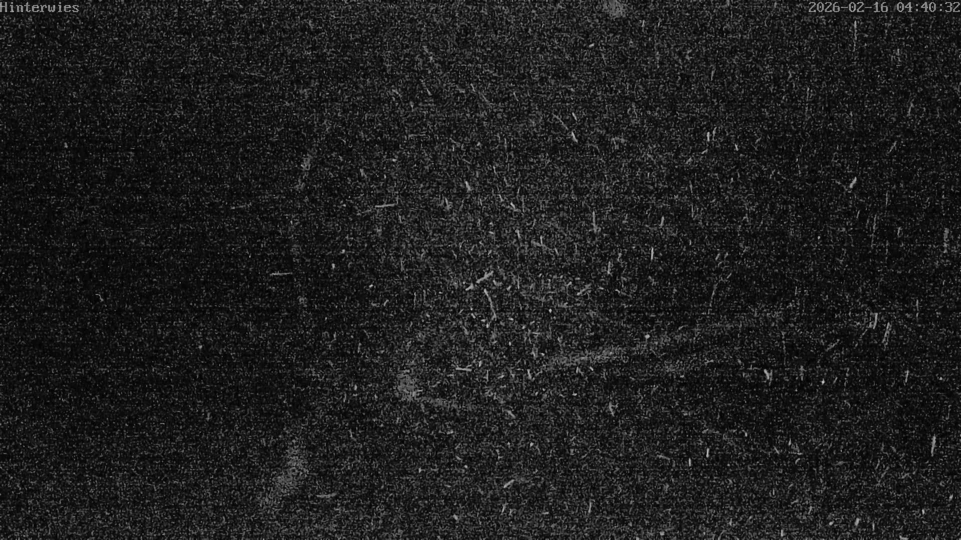 Archived image Webcam Weather Station St. Englmar-Hinterwies