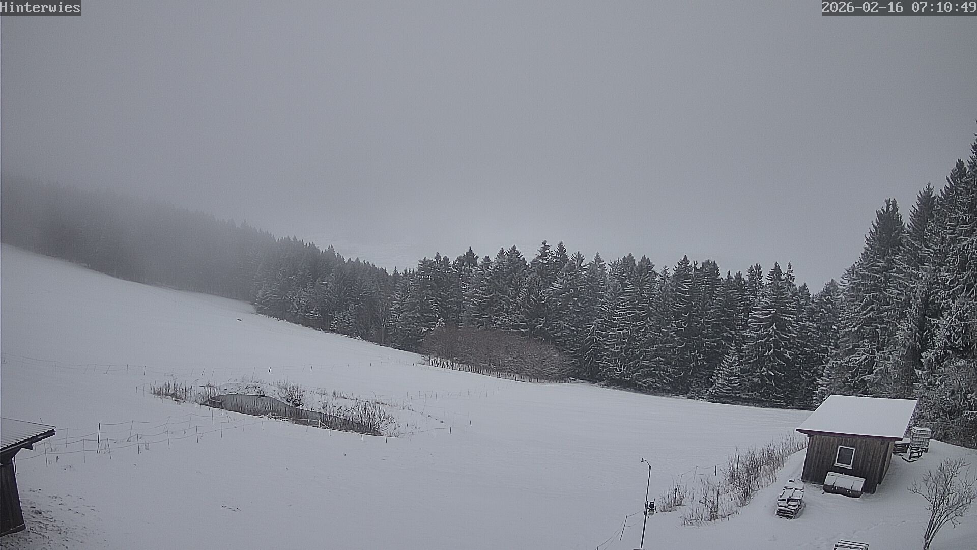 Archived image Webcam Weather Station St. Englmar-Hinterwies