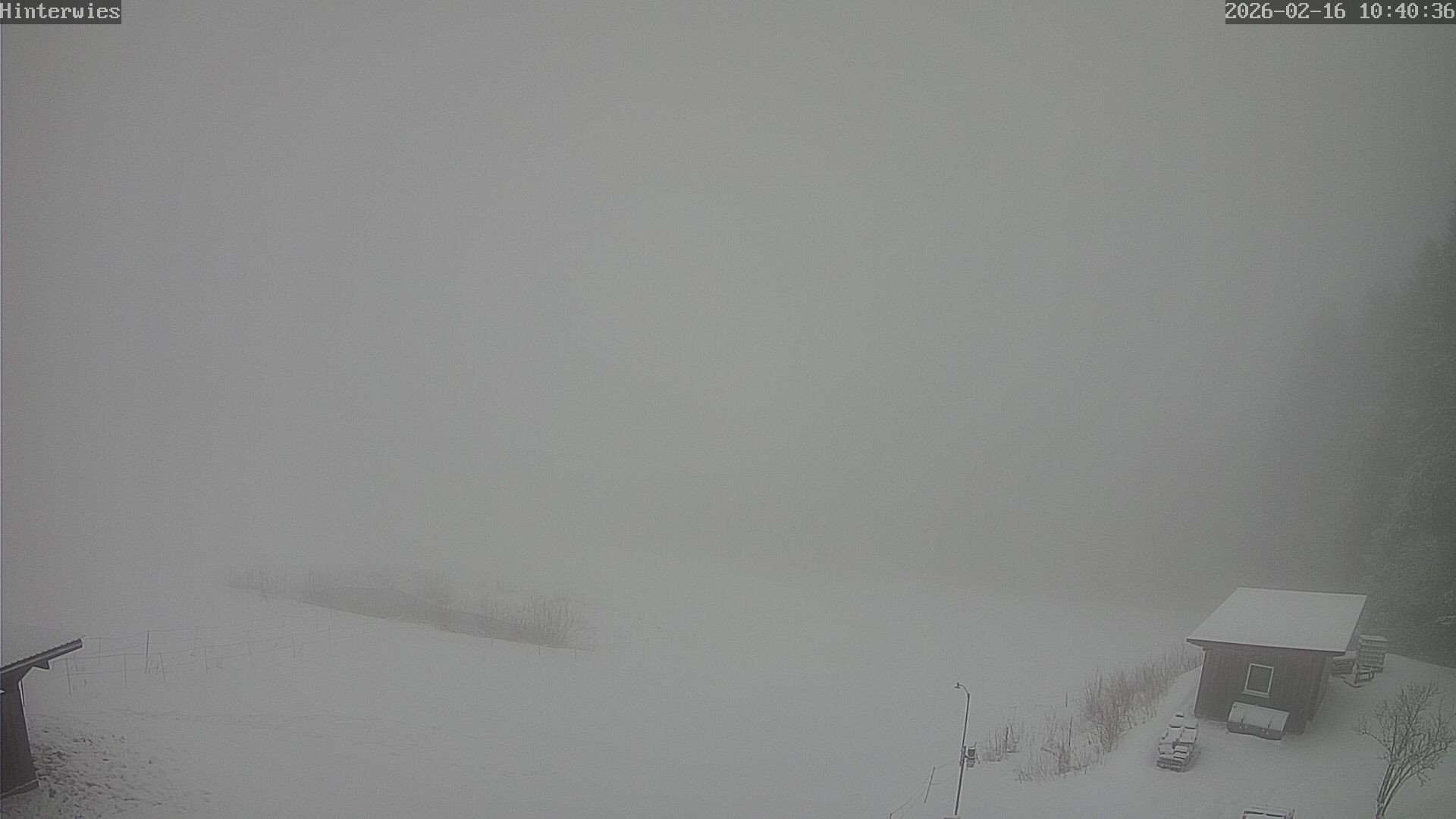 Archived image Webcam Weather Station St. Englmar-Hinterwies