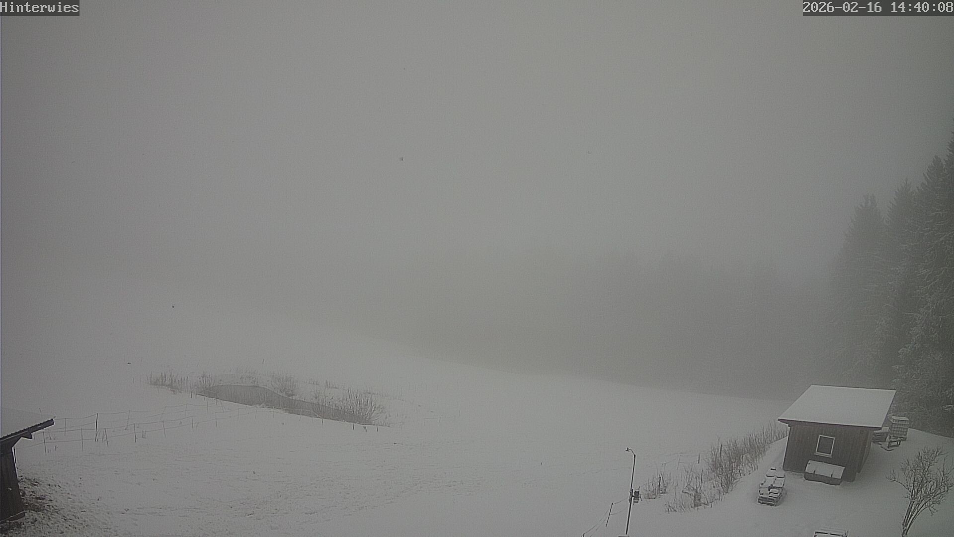 Archived image Webcam Weather Station St. Englmar-Hinterwies