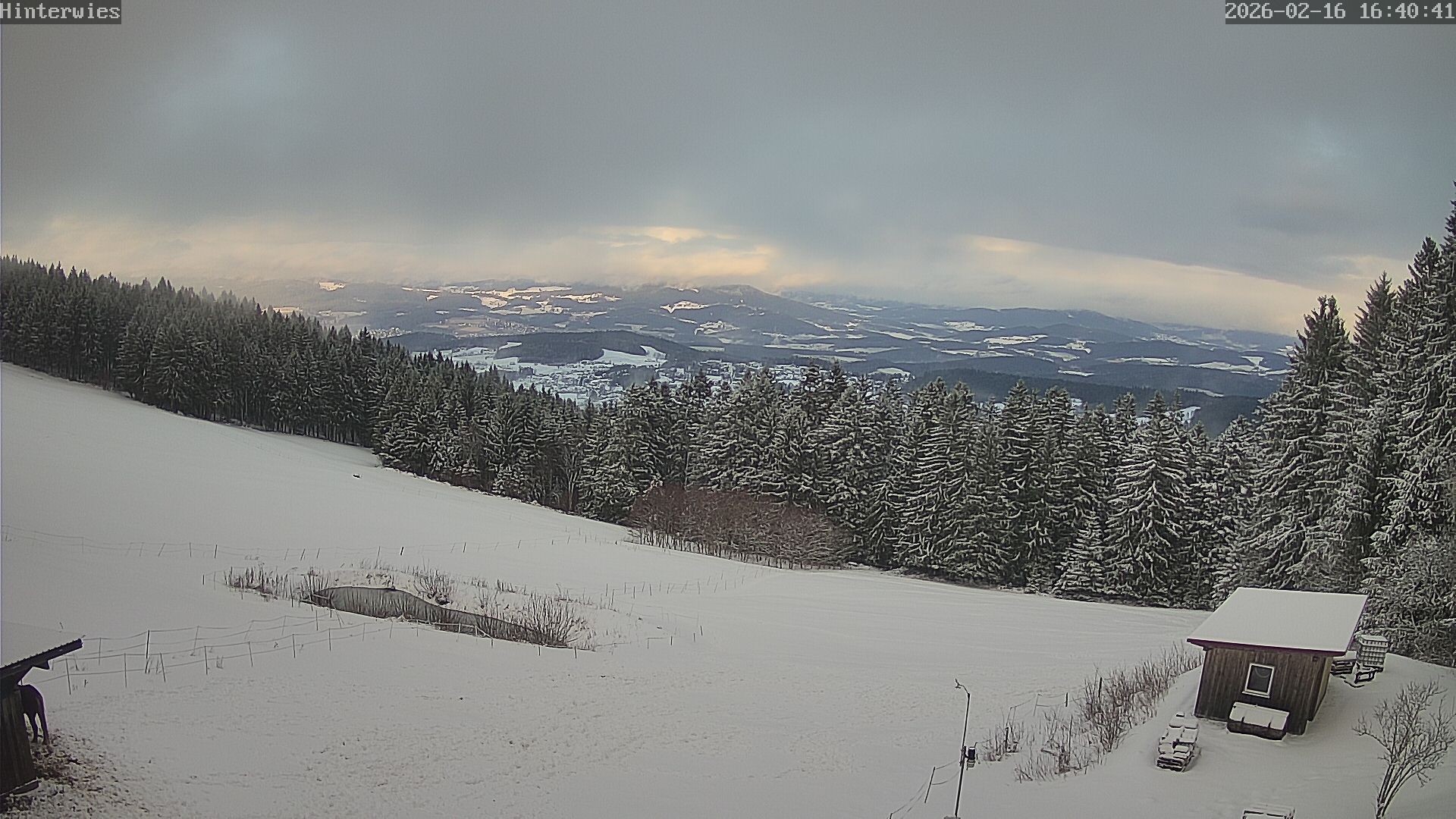 Archived image Webcam Weather Station St. Englmar-Hinterwies