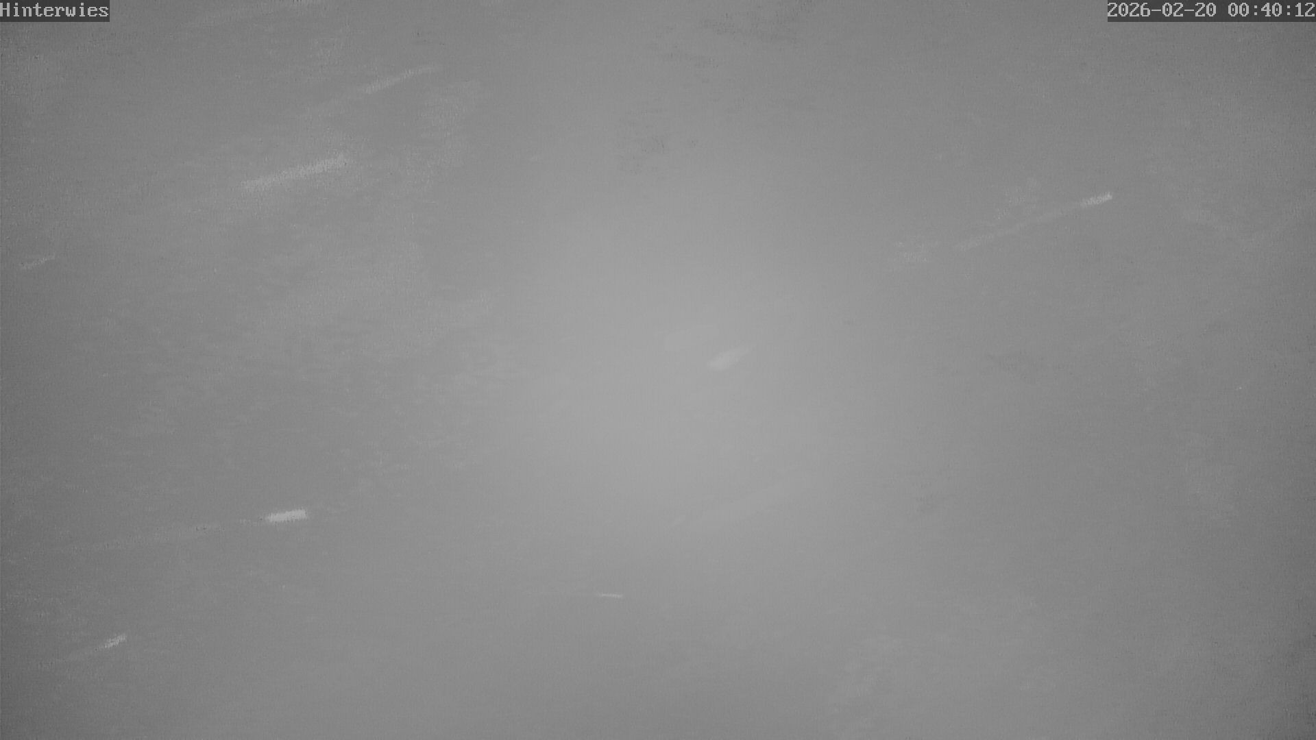 Archiv Foto Webcam Wetterstation Sankt Englmar-Hinterwies