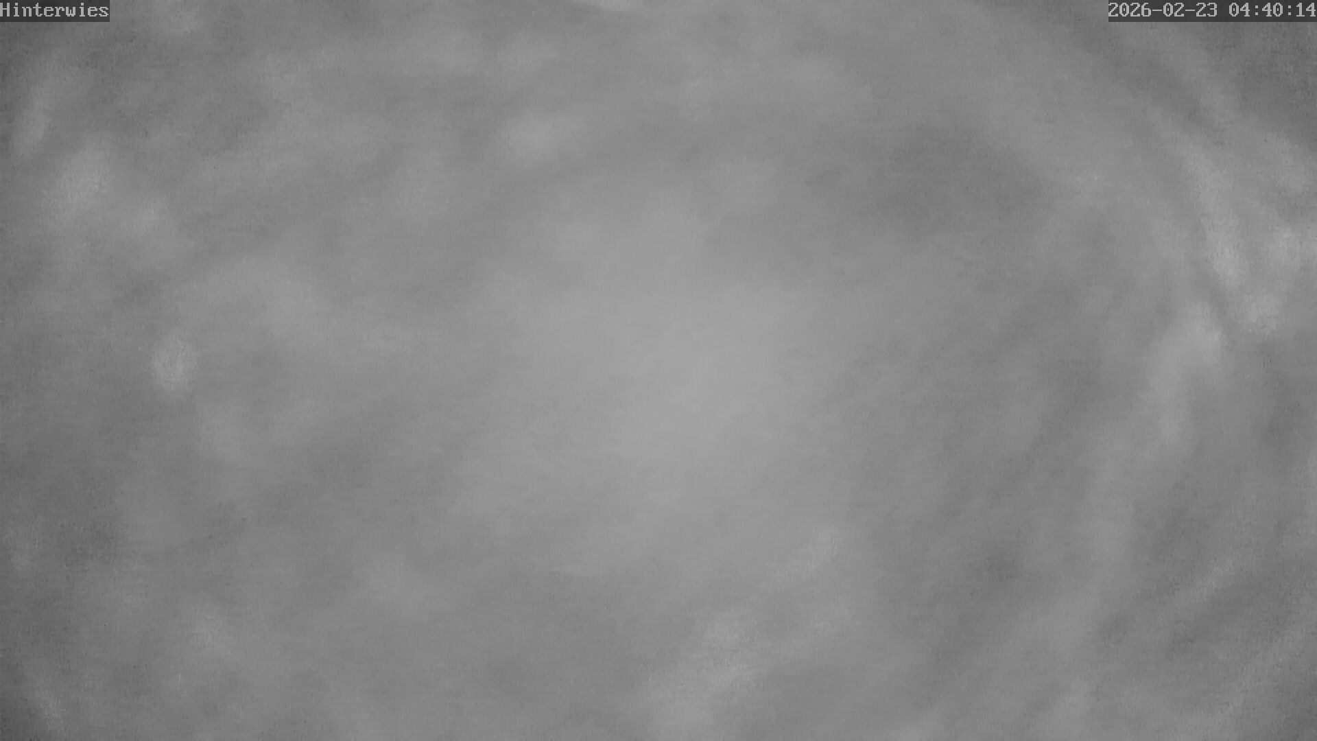 Archiv Foto Webcam Wetterstation Sankt Englmar-Hinterwies