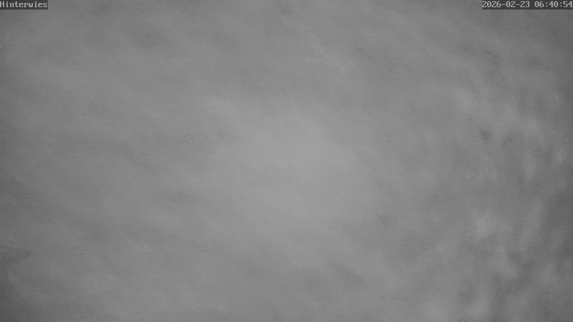 Archiv Foto Webcam Wetterstation Sankt Englmar-Hinterwies