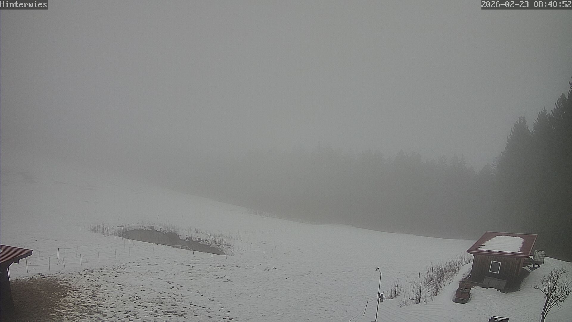 Archiv Foto Webcam Wetterstation Sankt Englmar-Hinterwies