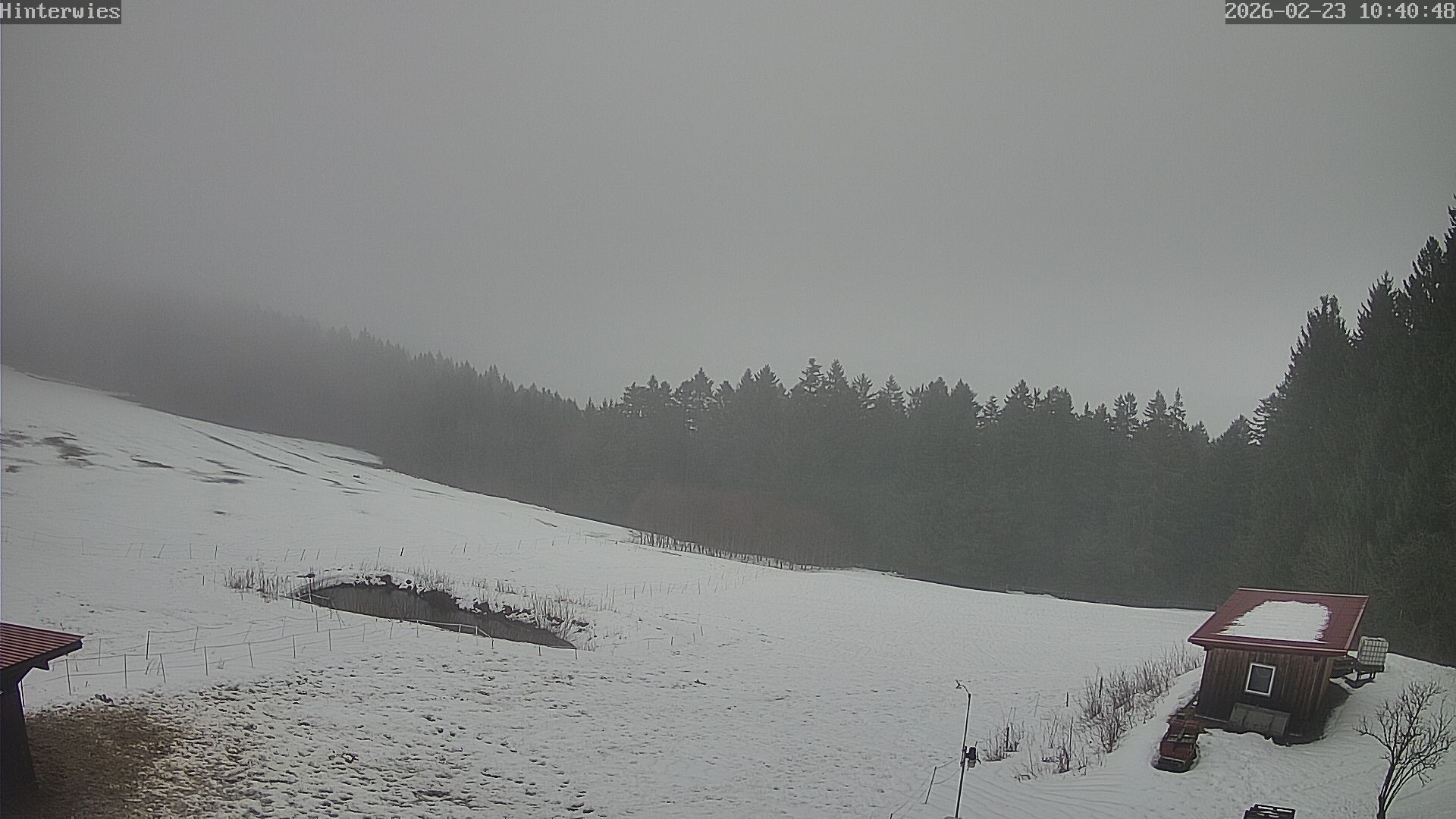 Archiv Foto Webcam Wetterstation Sankt Englmar-Hinterwies