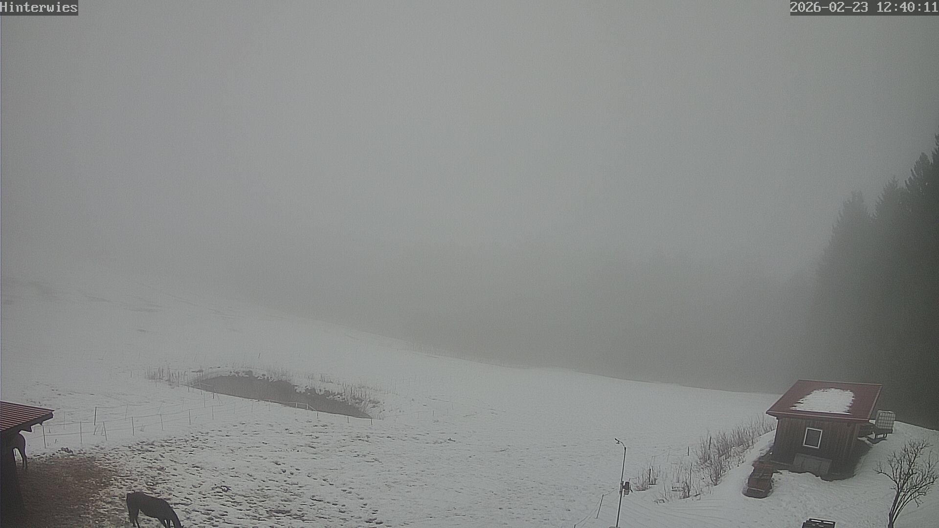 Archiv Foto Webcam Wetterstation Sankt Englmar-Hinterwies