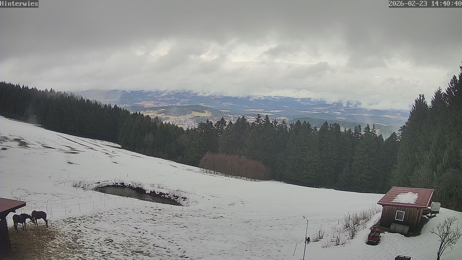 Archiv Foto Webcam Wetterstation Sankt Englmar-Hinterwies