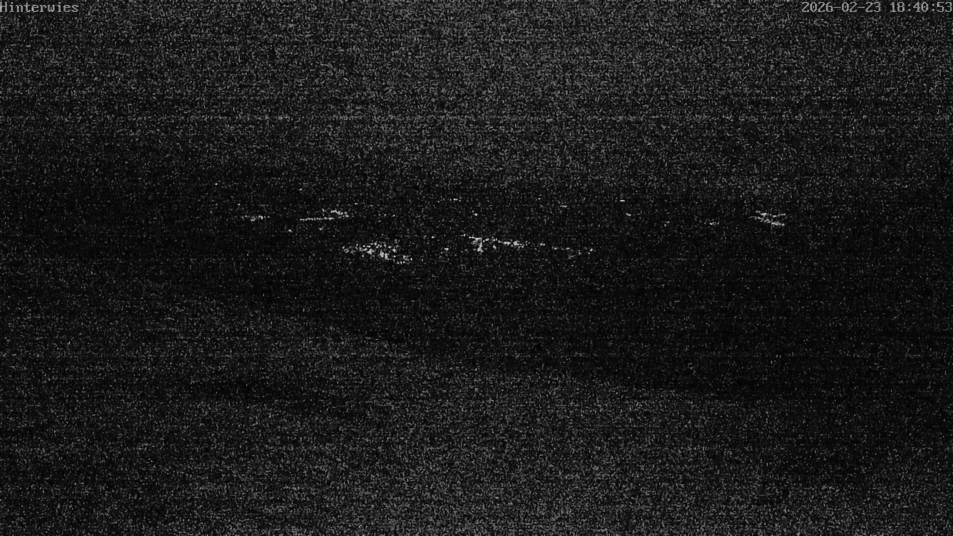 Archiv Foto Webcam Wetterstation Sankt Englmar-Hinterwies