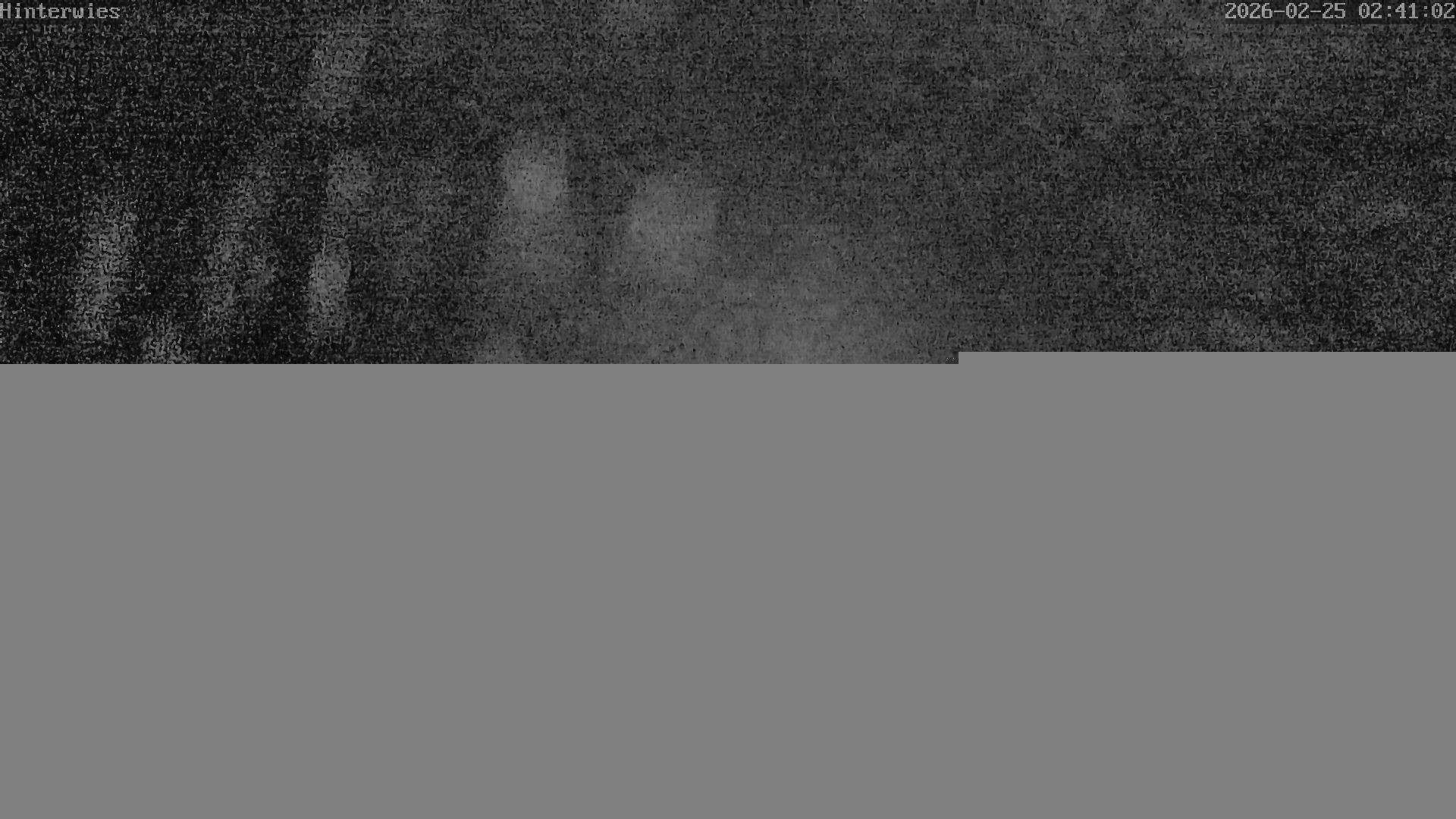 Archiv Foto Webcam Wetterstation Sankt Englmar-Hinterwies