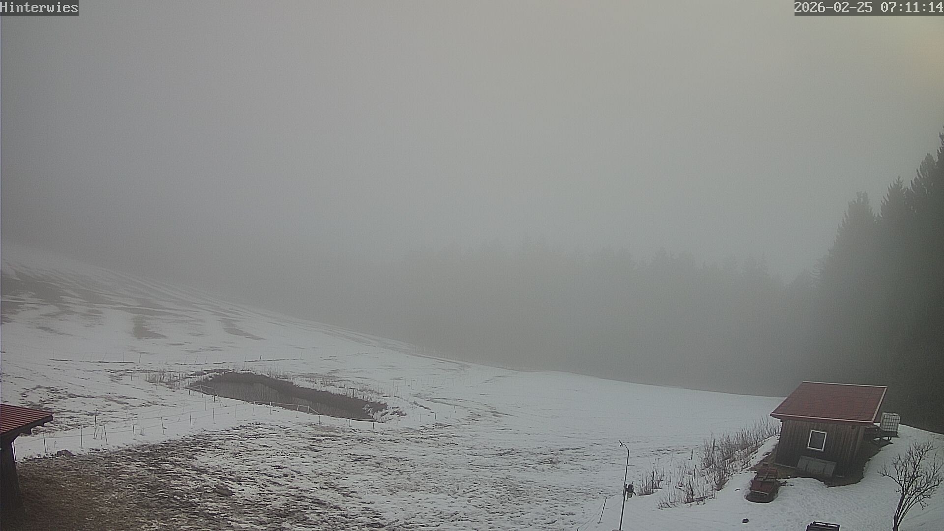 Archiv Foto Webcam Wetterstation Sankt Englmar-Hinterwies