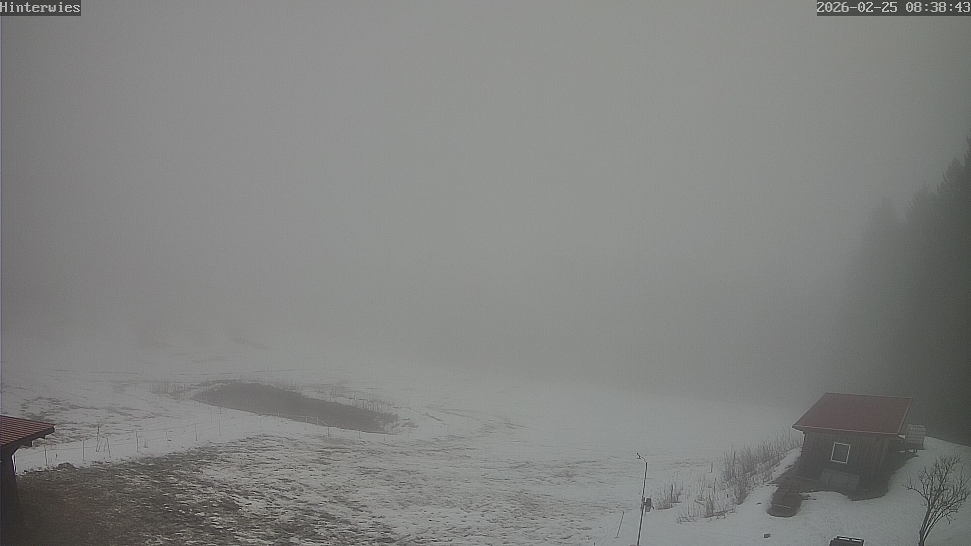 Archiv Foto Webcam Wetterstation Sankt Englmar-Hinterwies