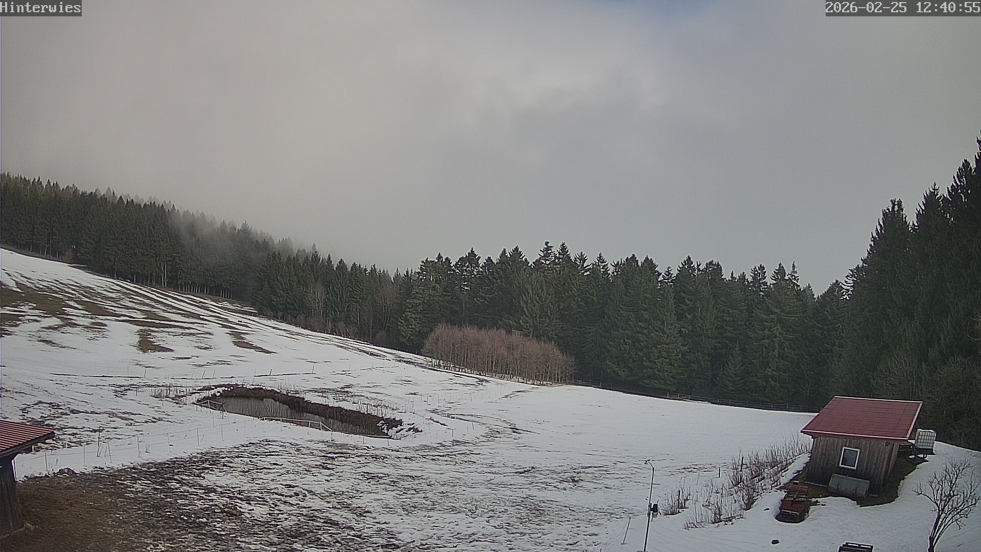 Archiv Foto Webcam Wetterstation Sankt Englmar-Hinterwies