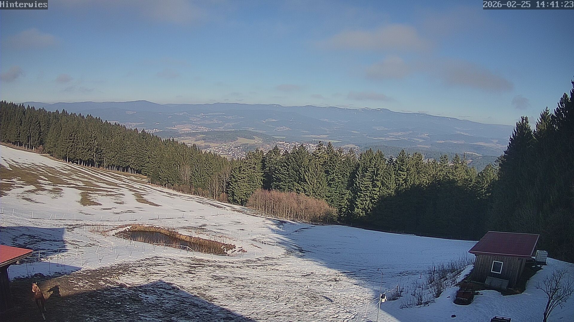 Archiv Foto Webcam Wetterstation Sankt Englmar-Hinterwies