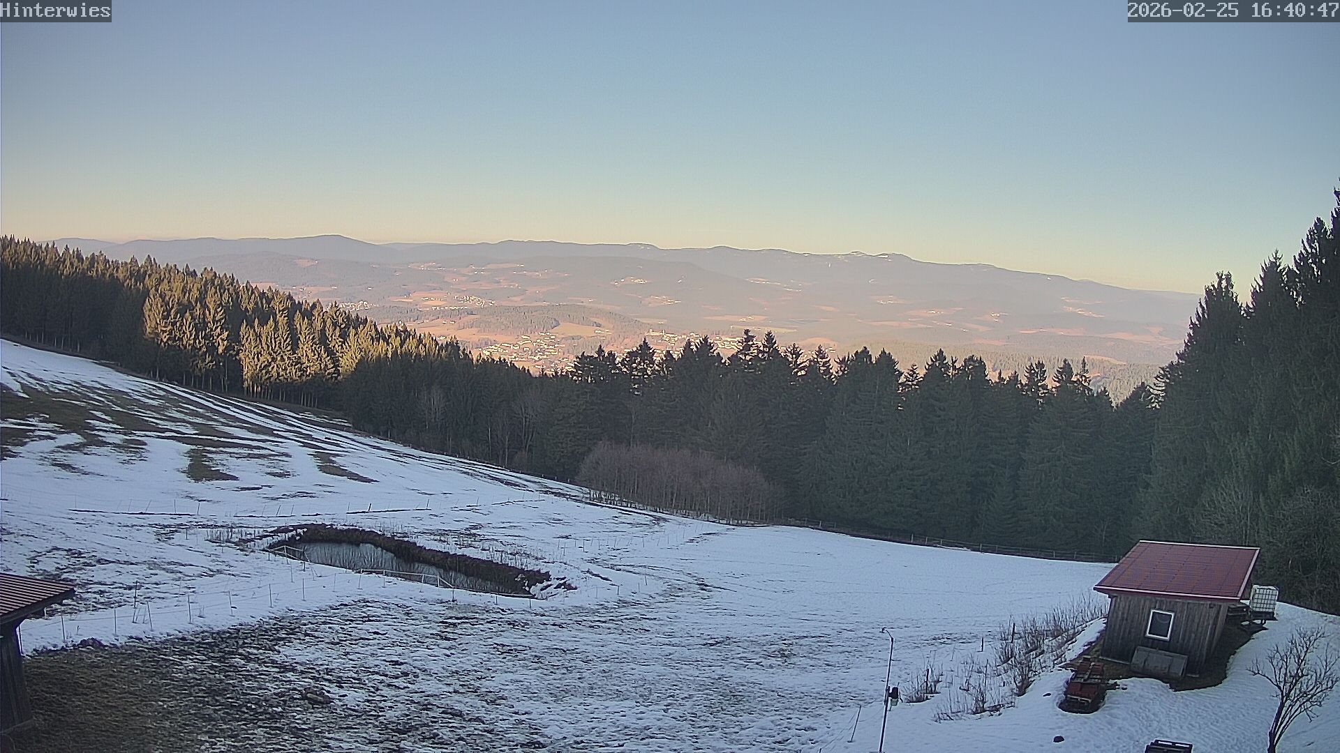 Archiv Foto Webcam Wetterstation Sankt Englmar-Hinterwies