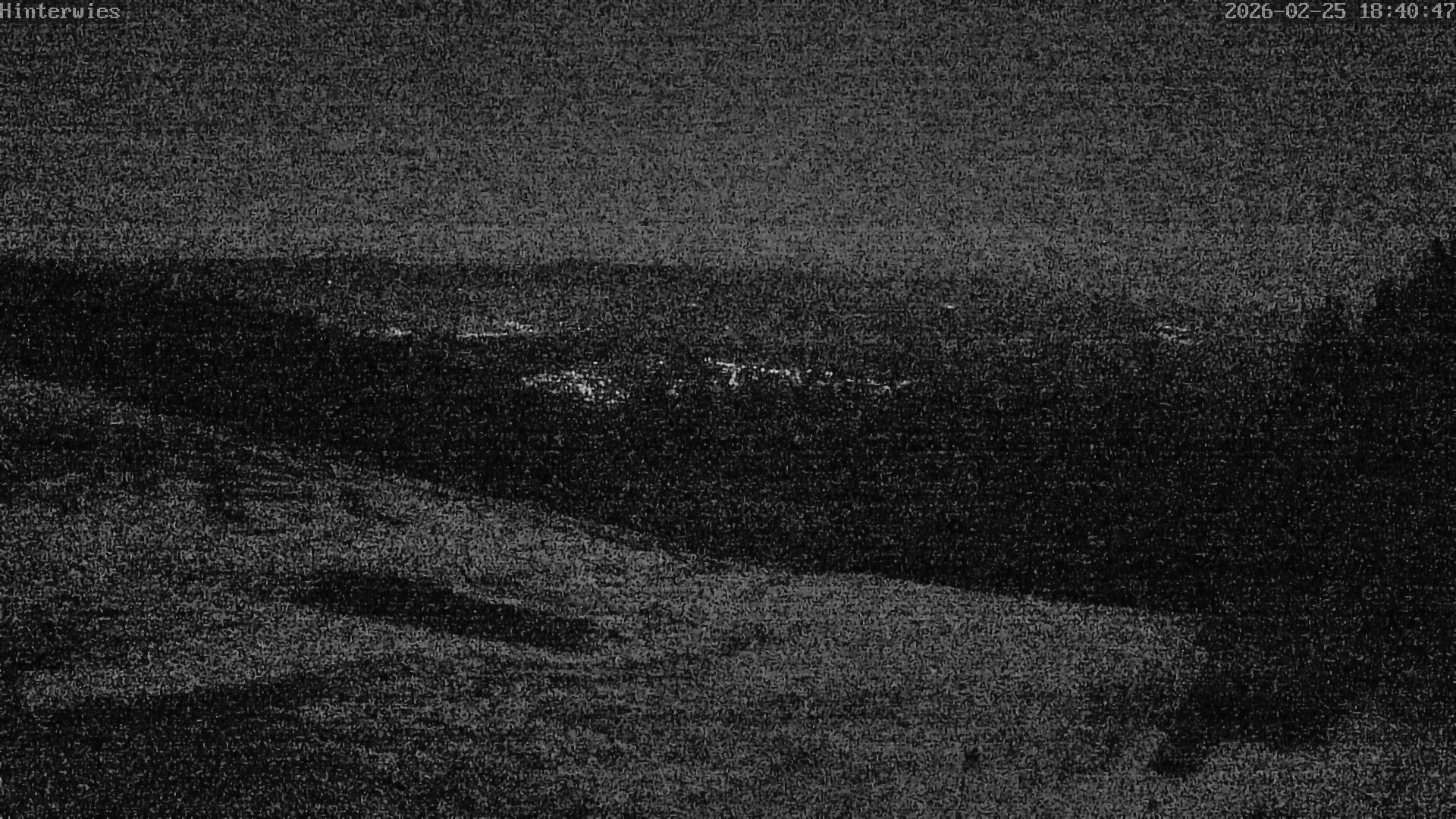 Archiv Foto Webcam Wetterstation Sankt Englmar-Hinterwies