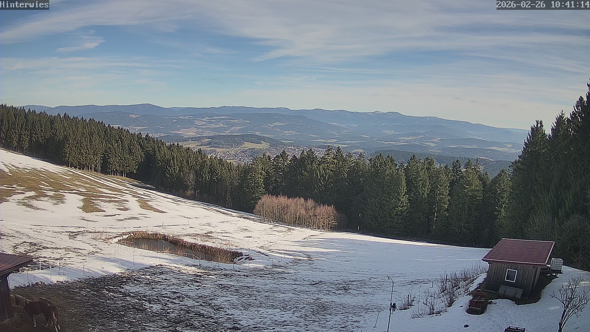 Archived image Webcam Weather Station St. Englmar-Hinterwies