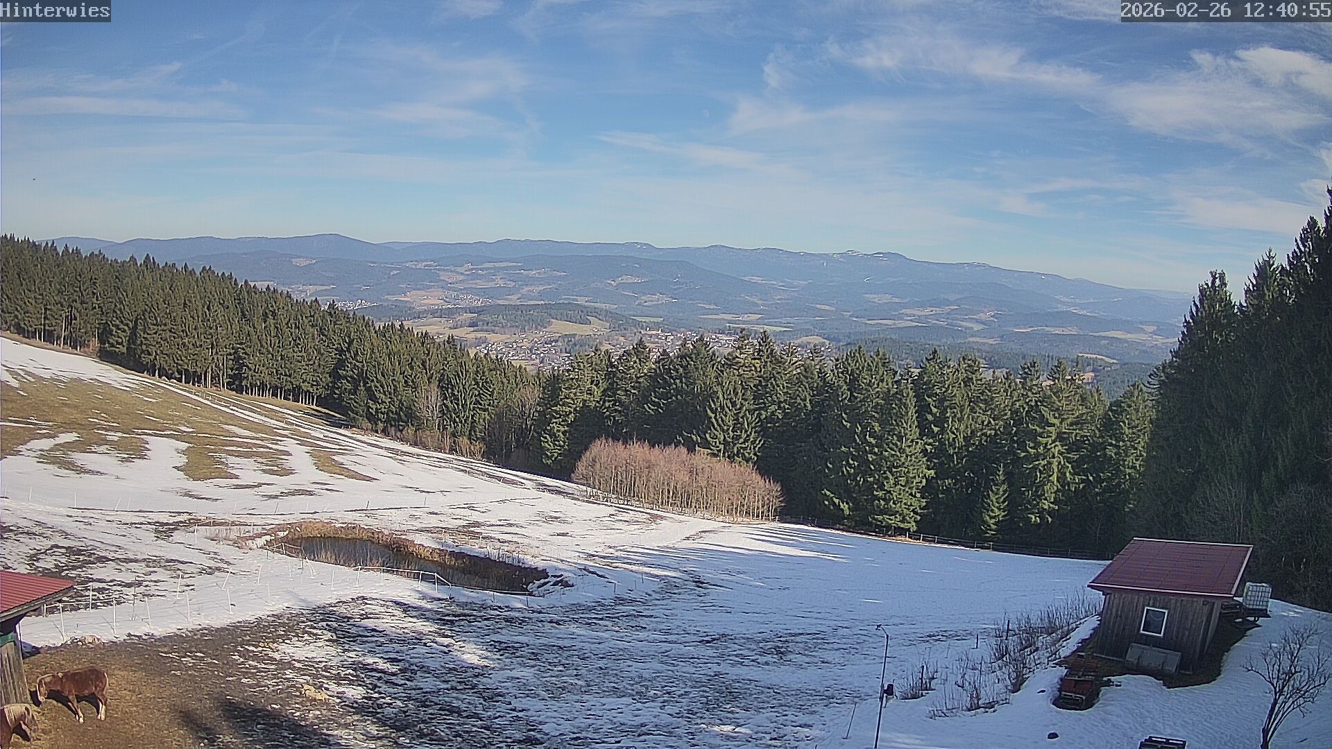 Archived image Webcam Weather Station St. Englmar-Hinterwies