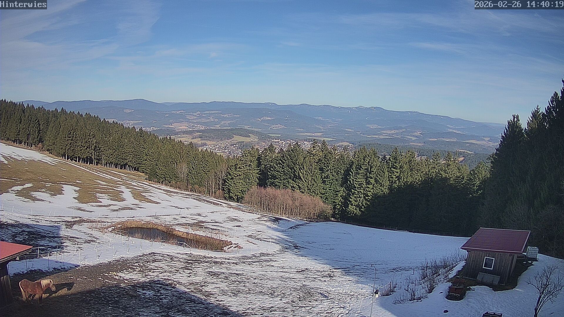 Archived image Webcam Weather Station St. Englmar-Hinterwies