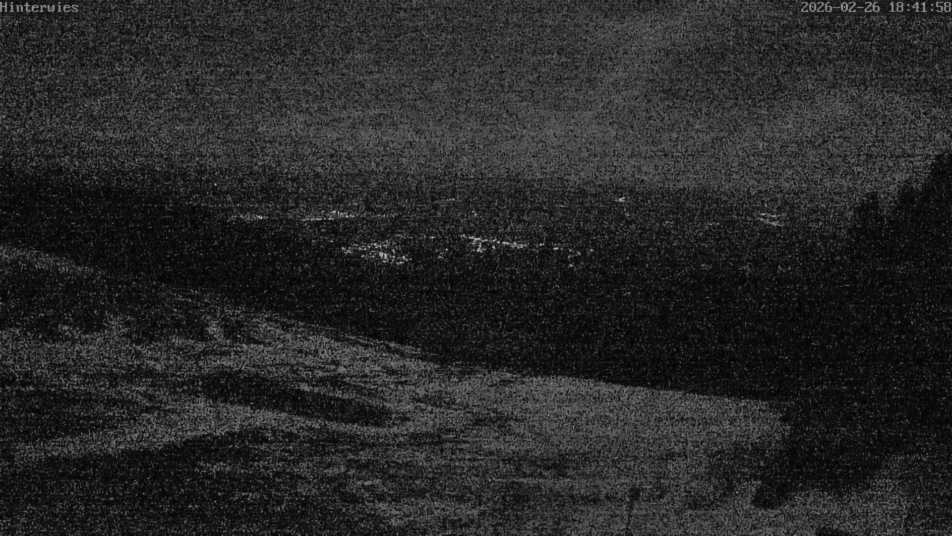 Archived image Webcam Weather Station St. Englmar-Hinterwies