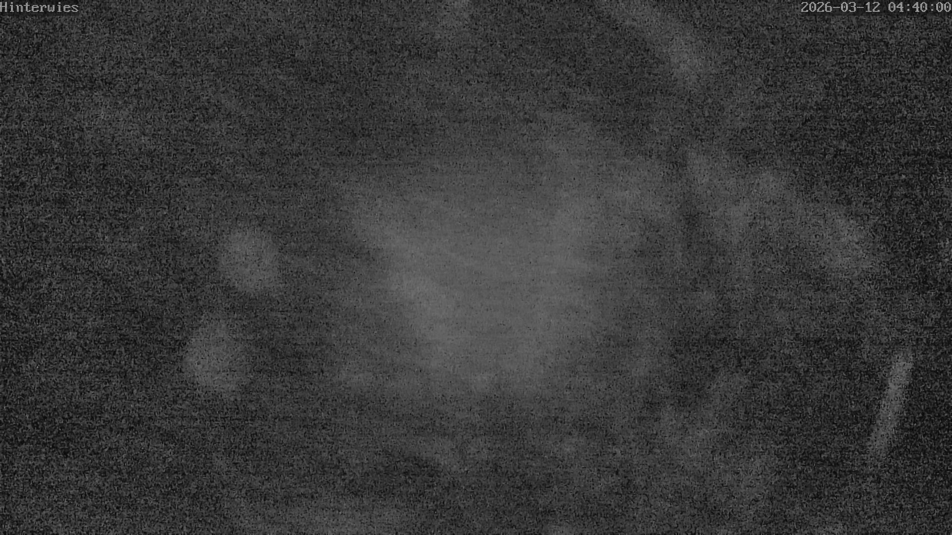 Archiv Foto Webcam Wetterstation Sankt Englmar-Hinterwies