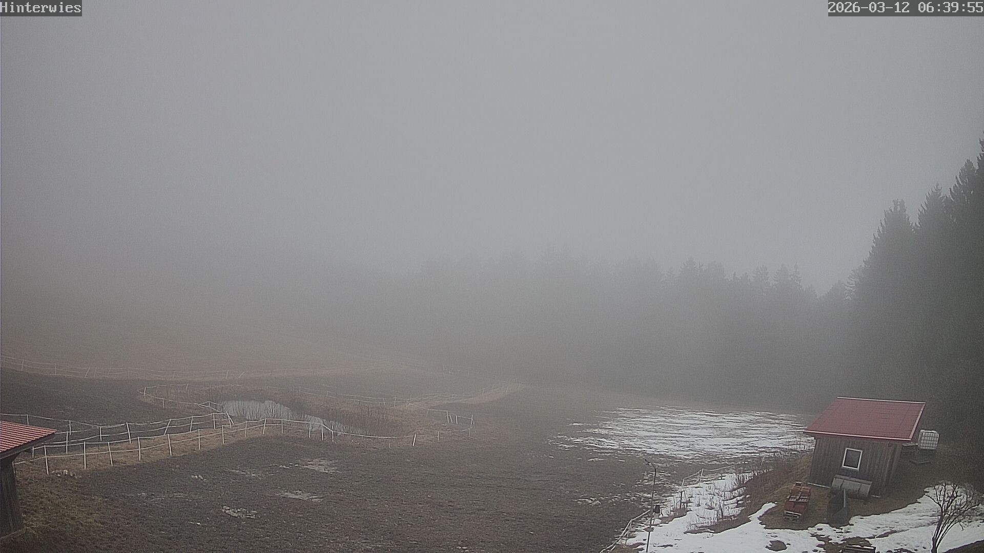 Archiv Foto Webcam Wetterstation Sankt Englmar-Hinterwies