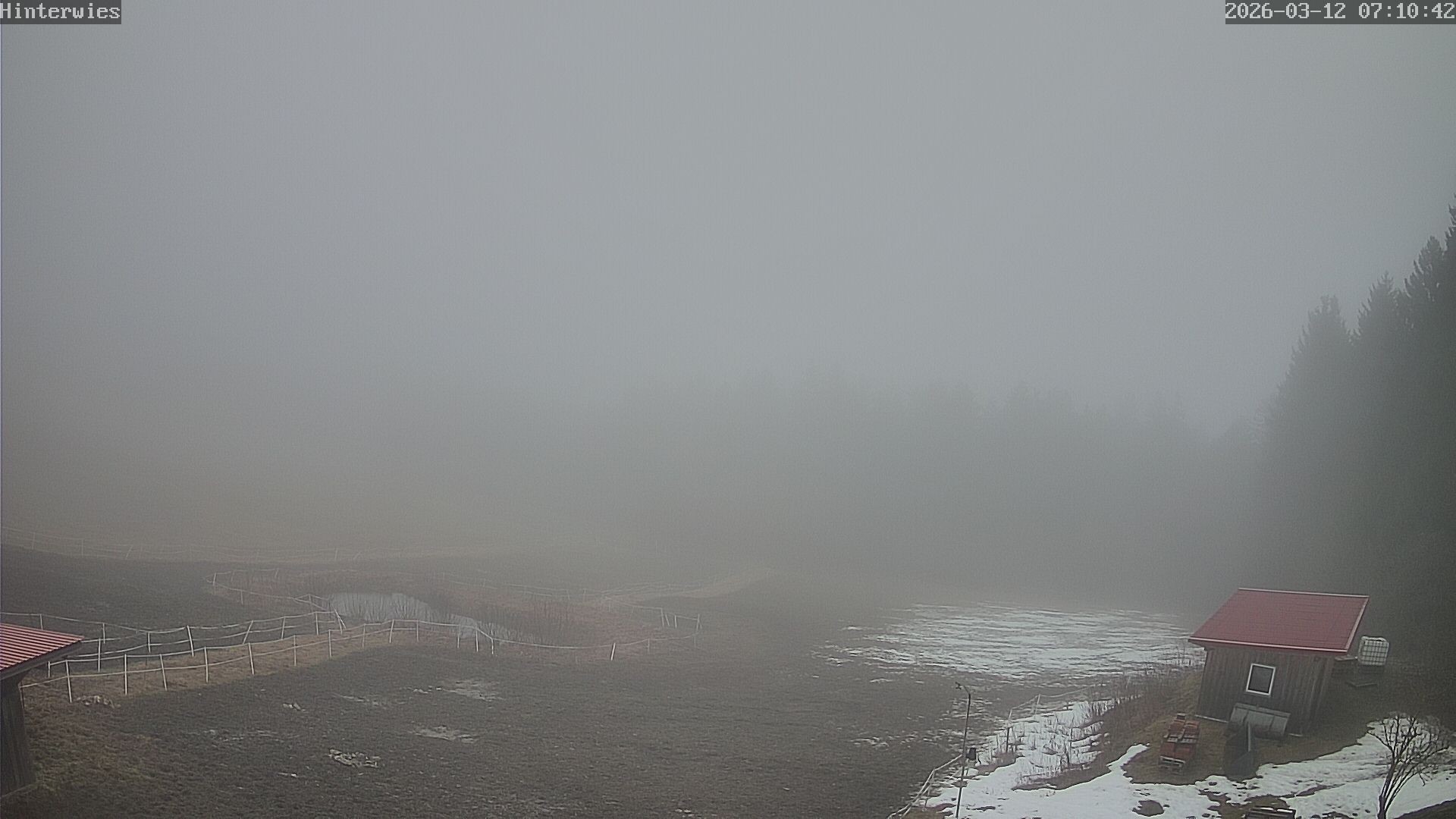 Archiv Foto Webcam Wetterstation Sankt Englmar-Hinterwies