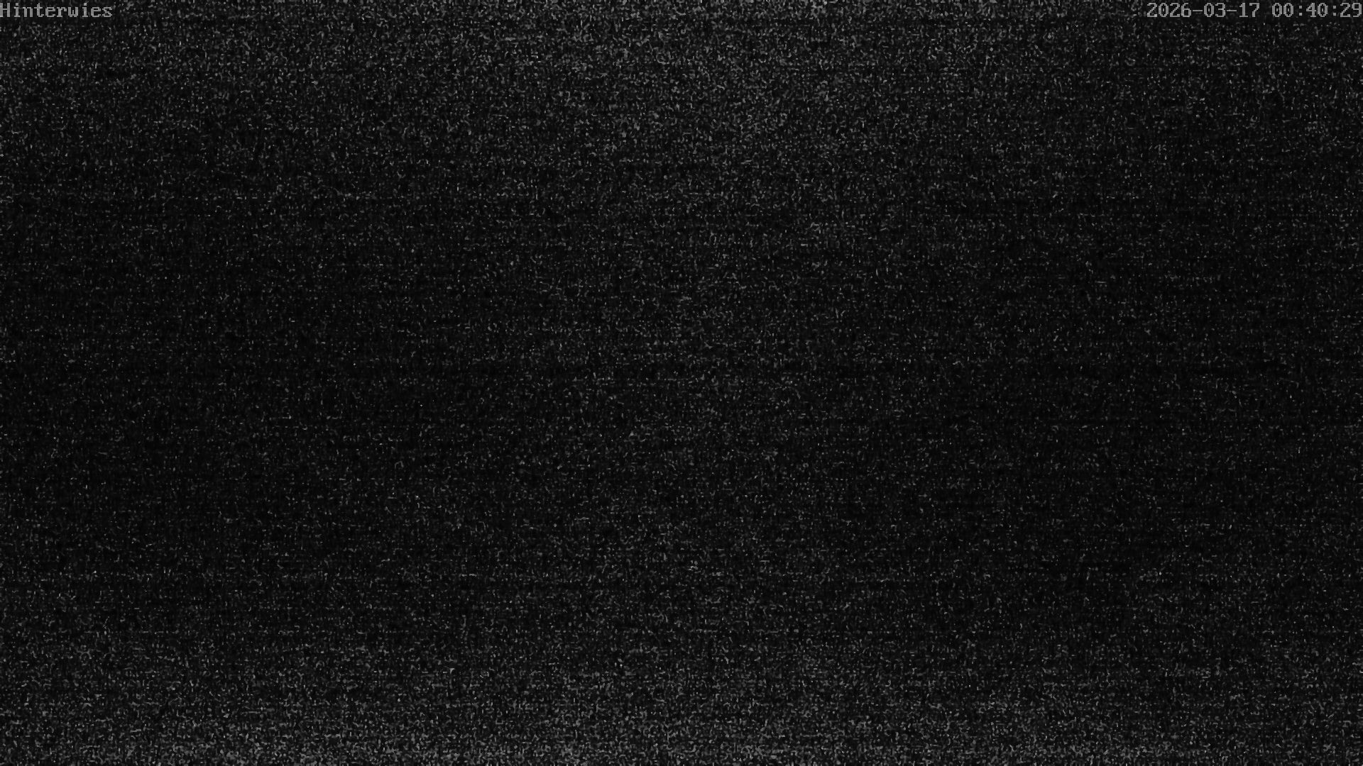 Archived image Webcam Weather Station St. Englmar-Hinterwies