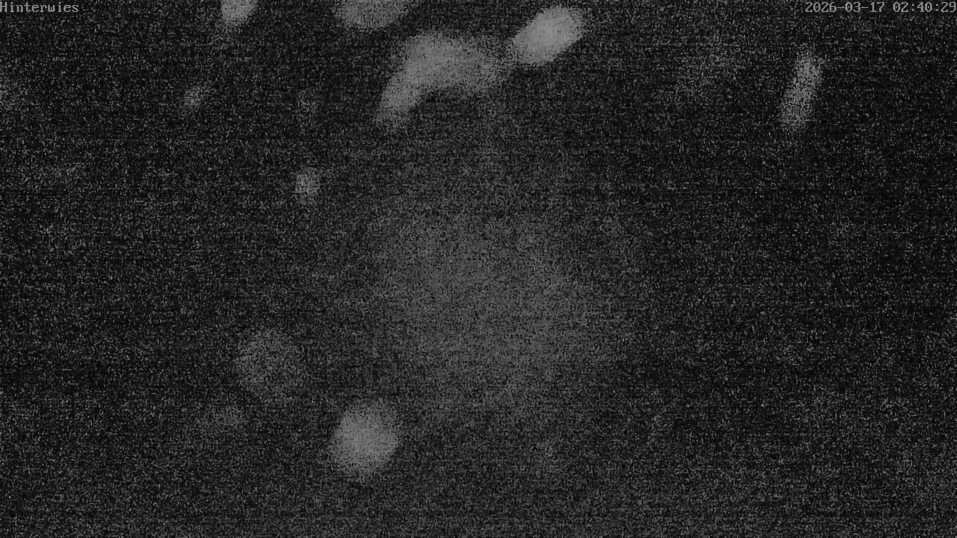 Archived image Webcam Weather Station St. Englmar-Hinterwies