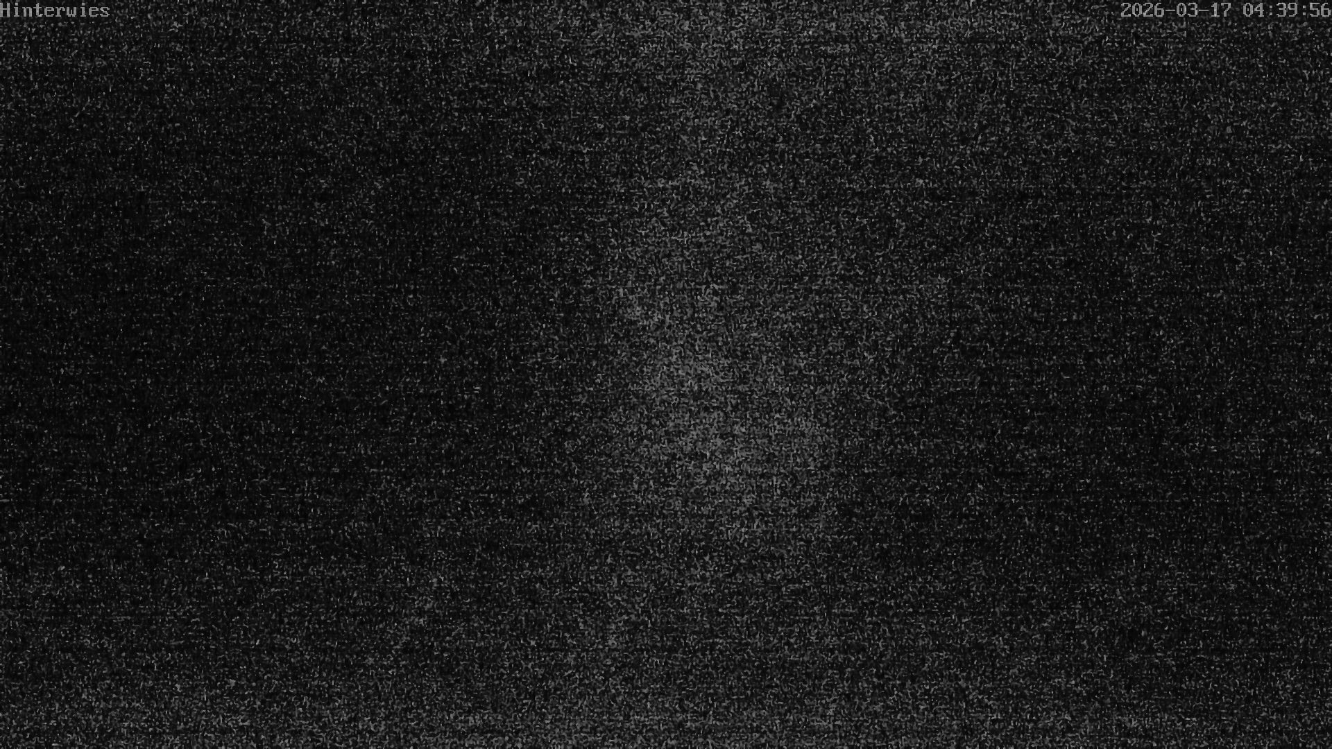 Archived image Webcam Weather Station St. Englmar-Hinterwies