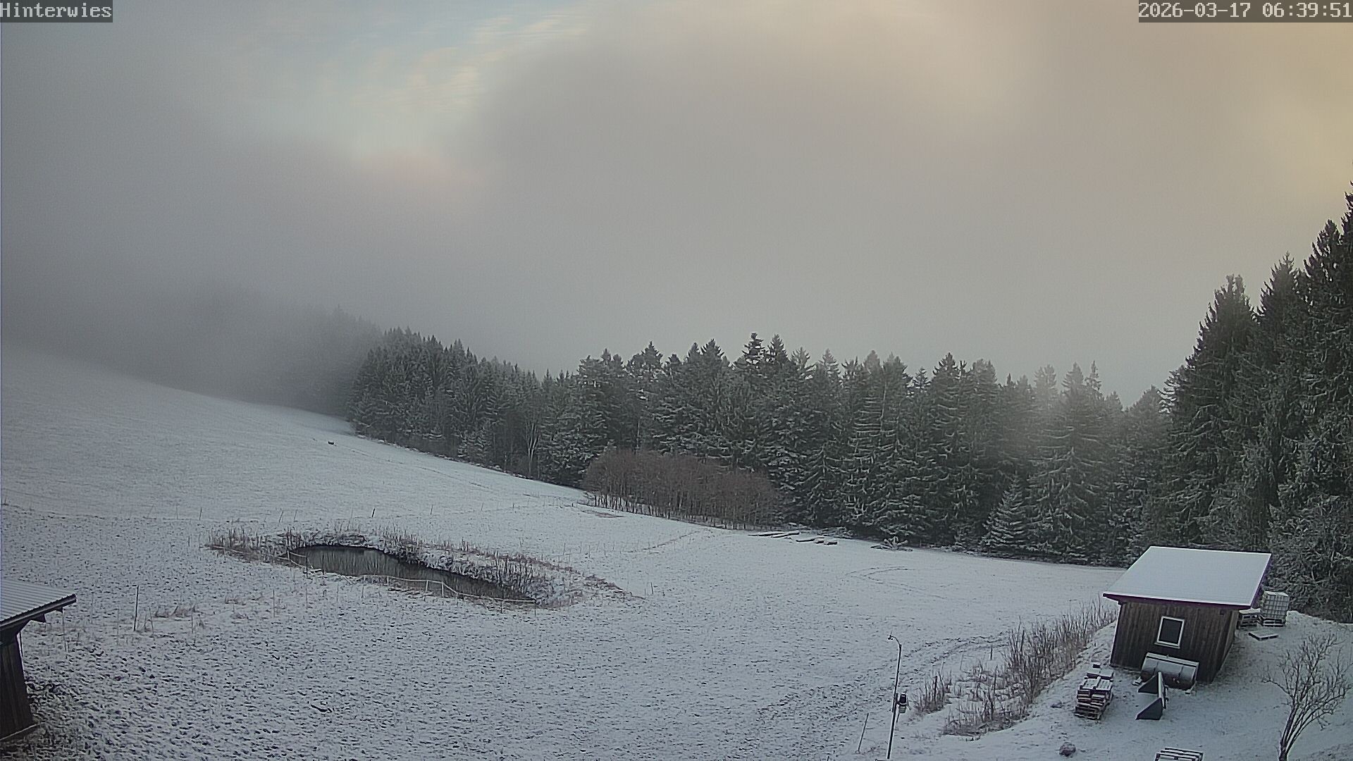 Archived image Webcam Weather Station St. Englmar-Hinterwies