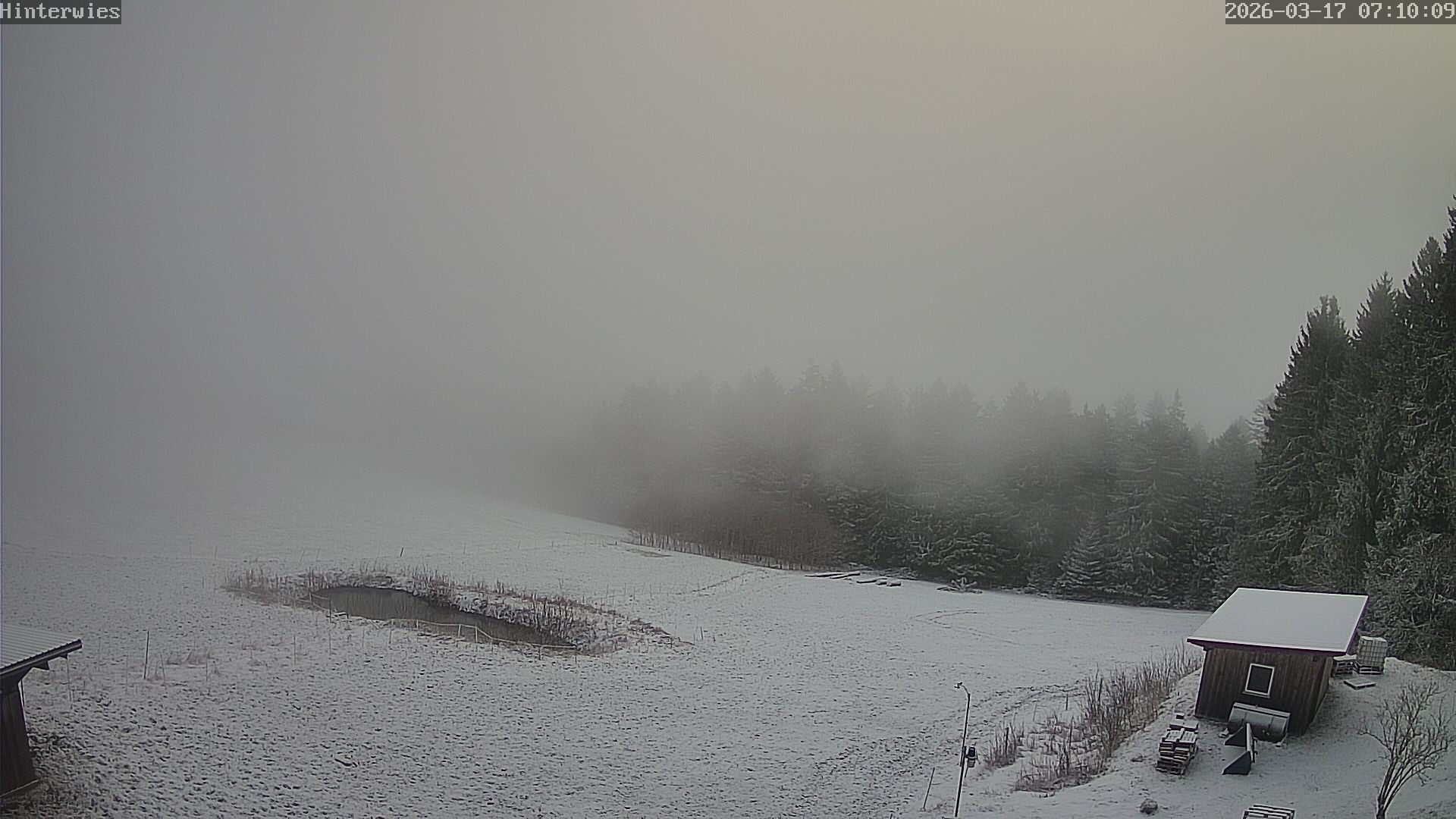 Archived image Webcam Weather Station St. Englmar-Hinterwies