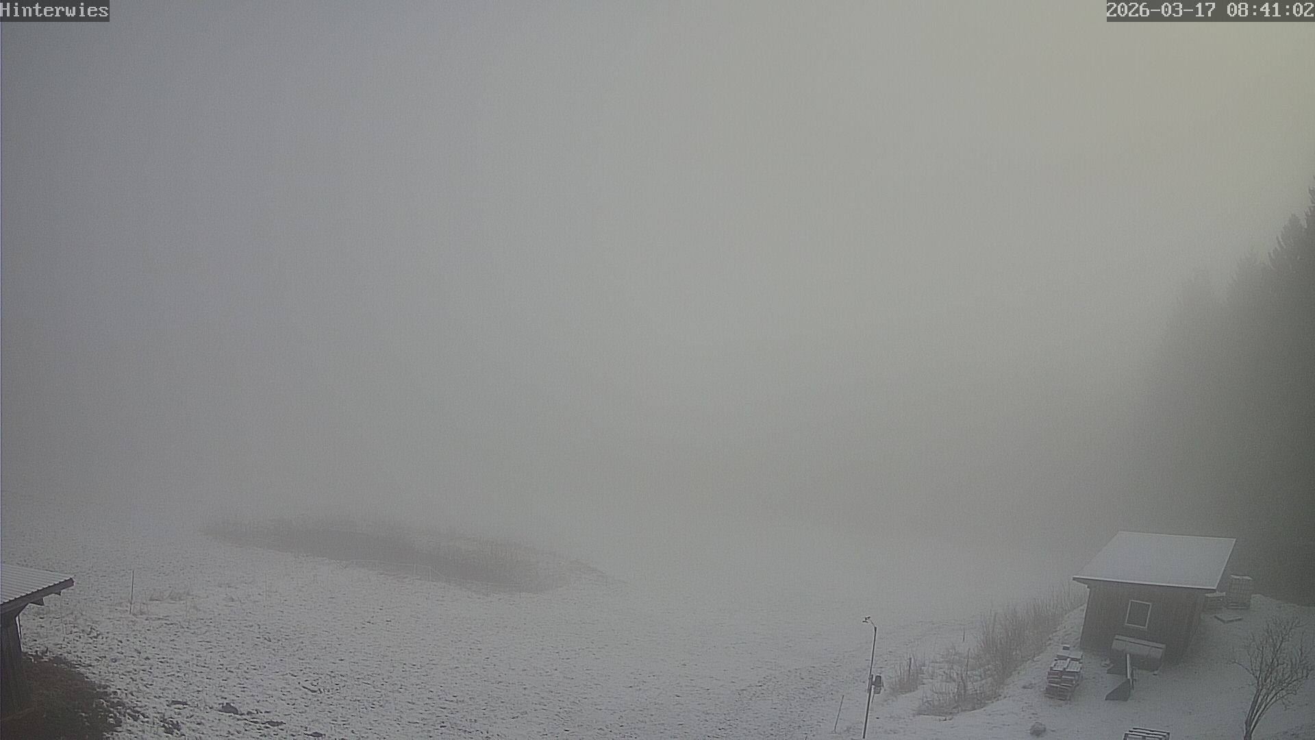 Archived image Webcam Weather Station St. Englmar-Hinterwies