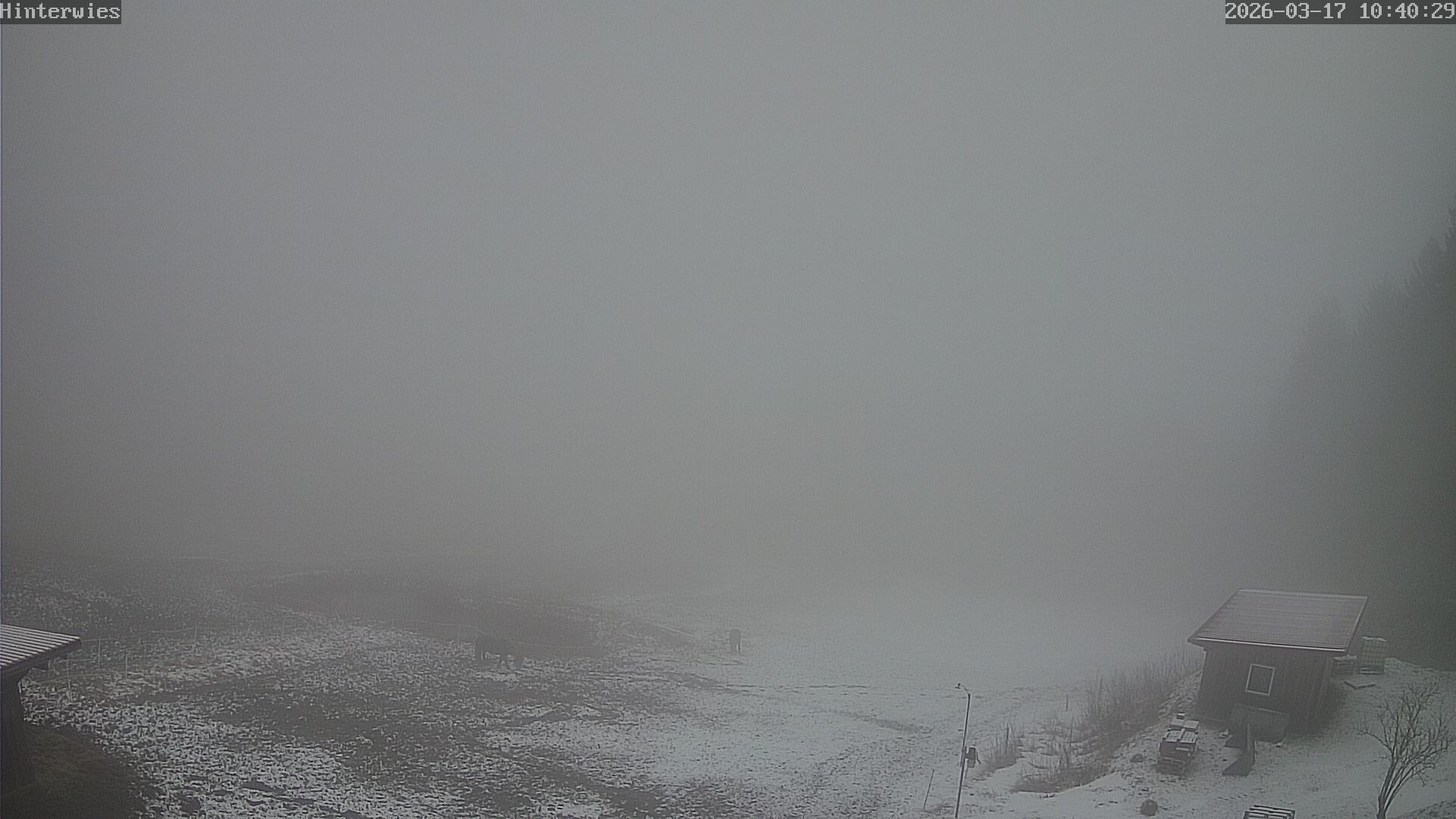 Archiv Foto Webcam Wetterstation Sankt Englmar-Hinterwies