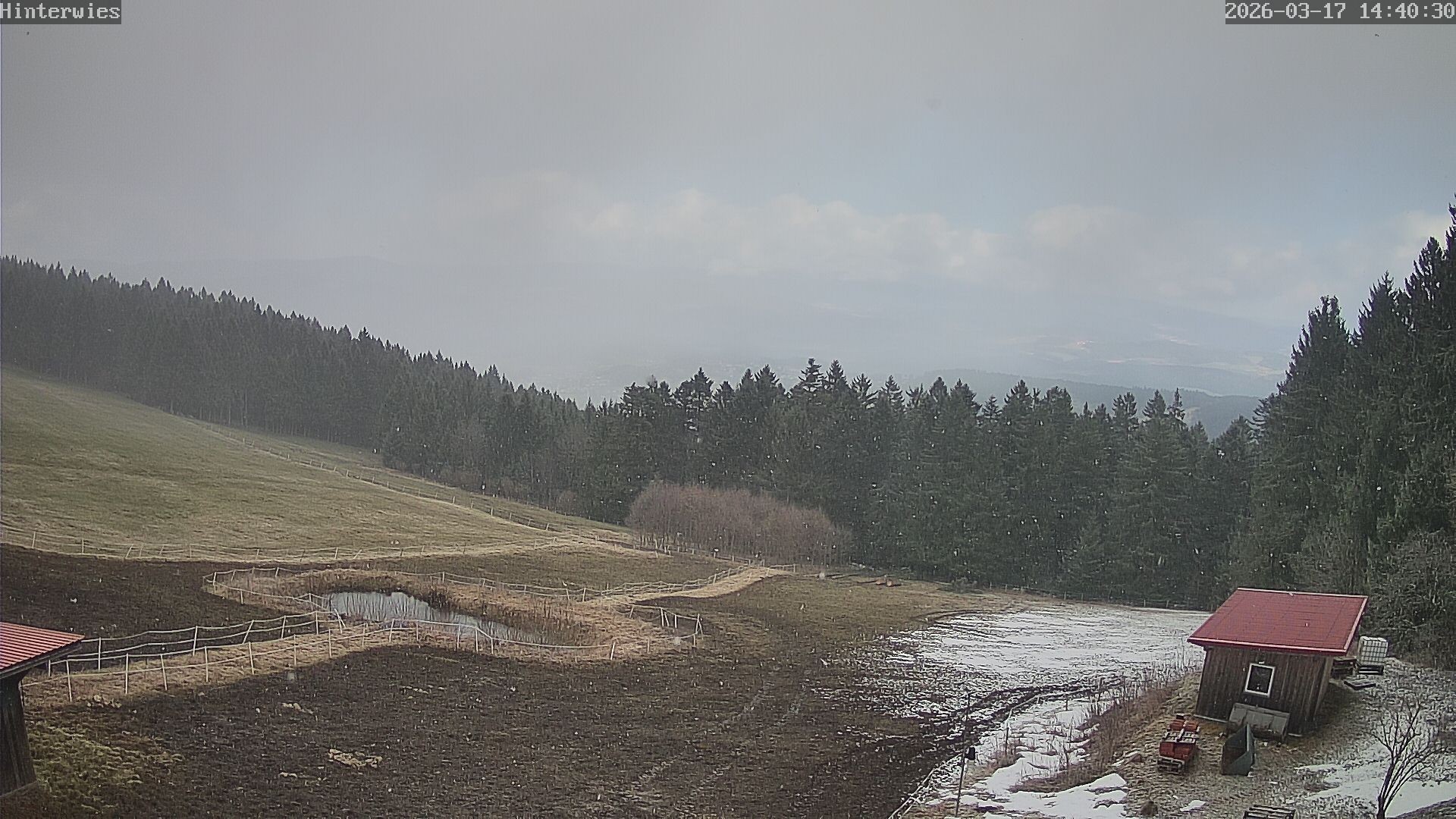 Archiv Foto Webcam Wetterstation Sankt Englmar-Hinterwies