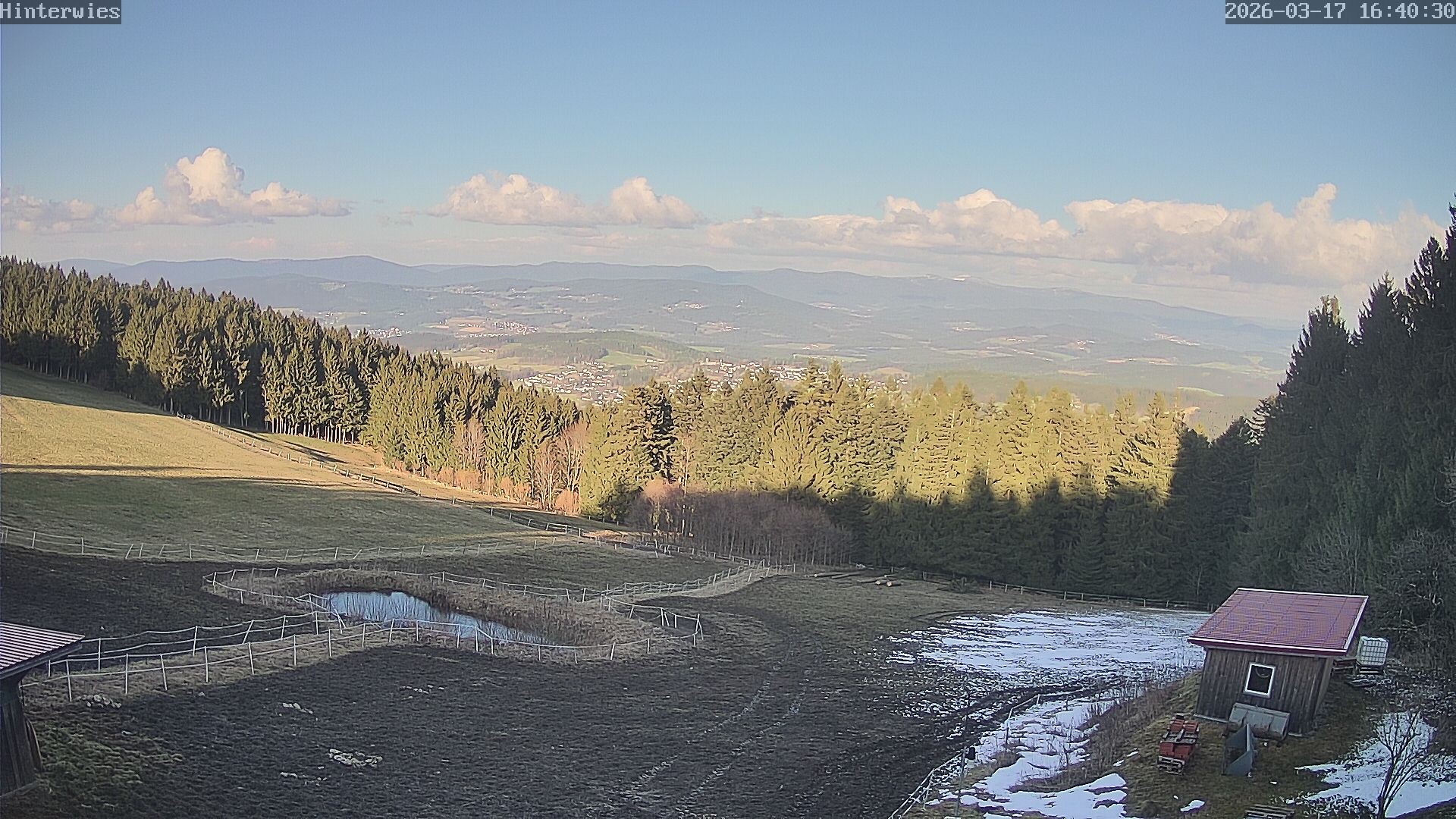 Archiv Foto Webcam Wetterstation Sankt Englmar-Hinterwies