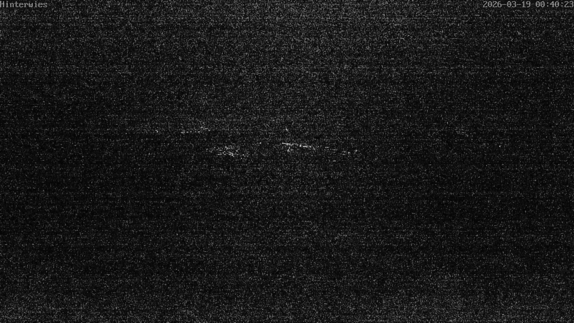 Archiv Foto Webcam Wetterstation Sankt Englmar-Hinterwies