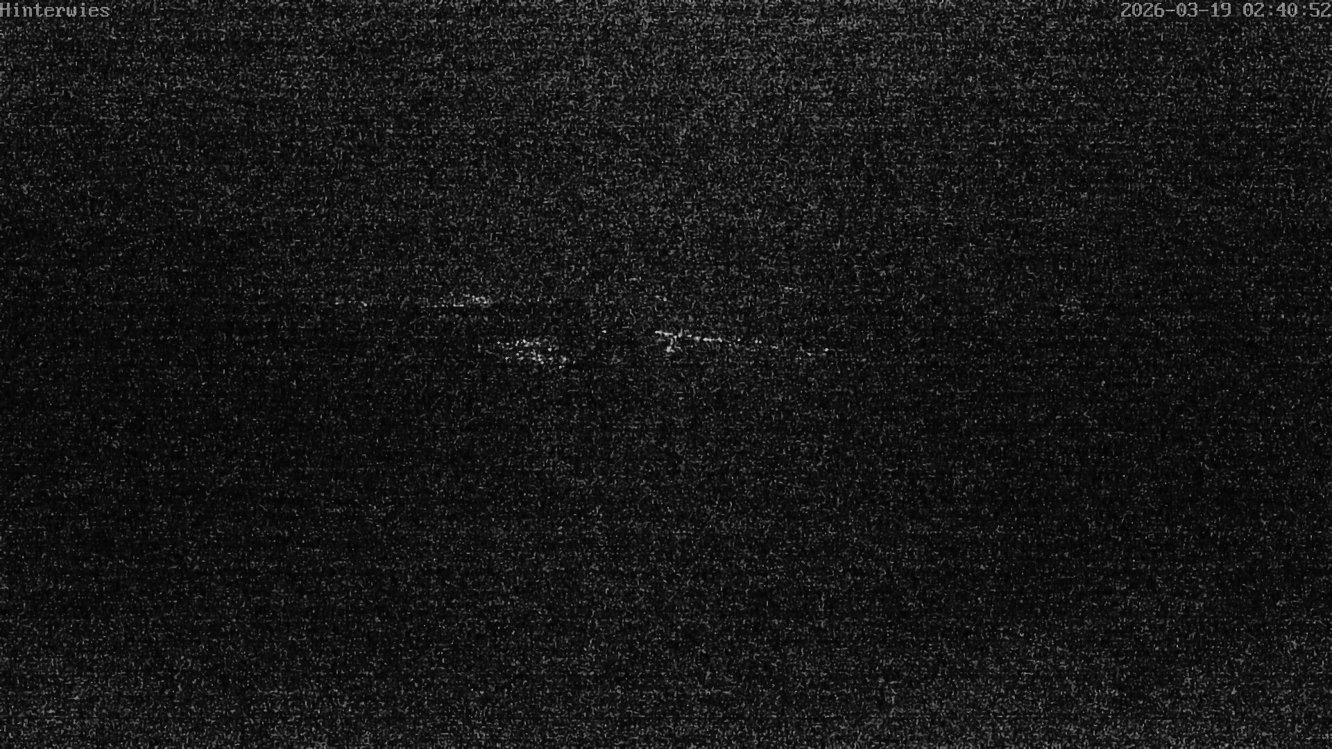 Archiv Foto Webcam Wetterstation Sankt Englmar-Hinterwies