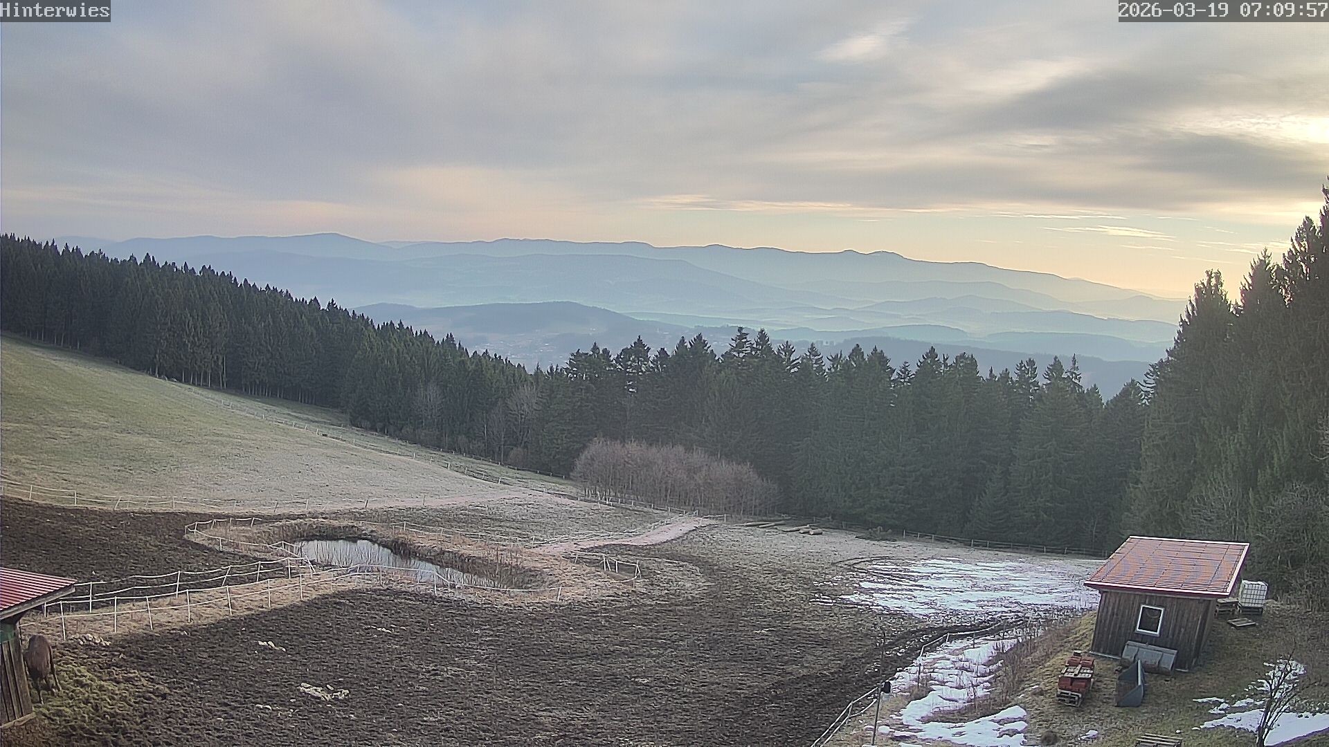 Archiv Foto Webcam Wetterstation Sankt Englmar-Hinterwies