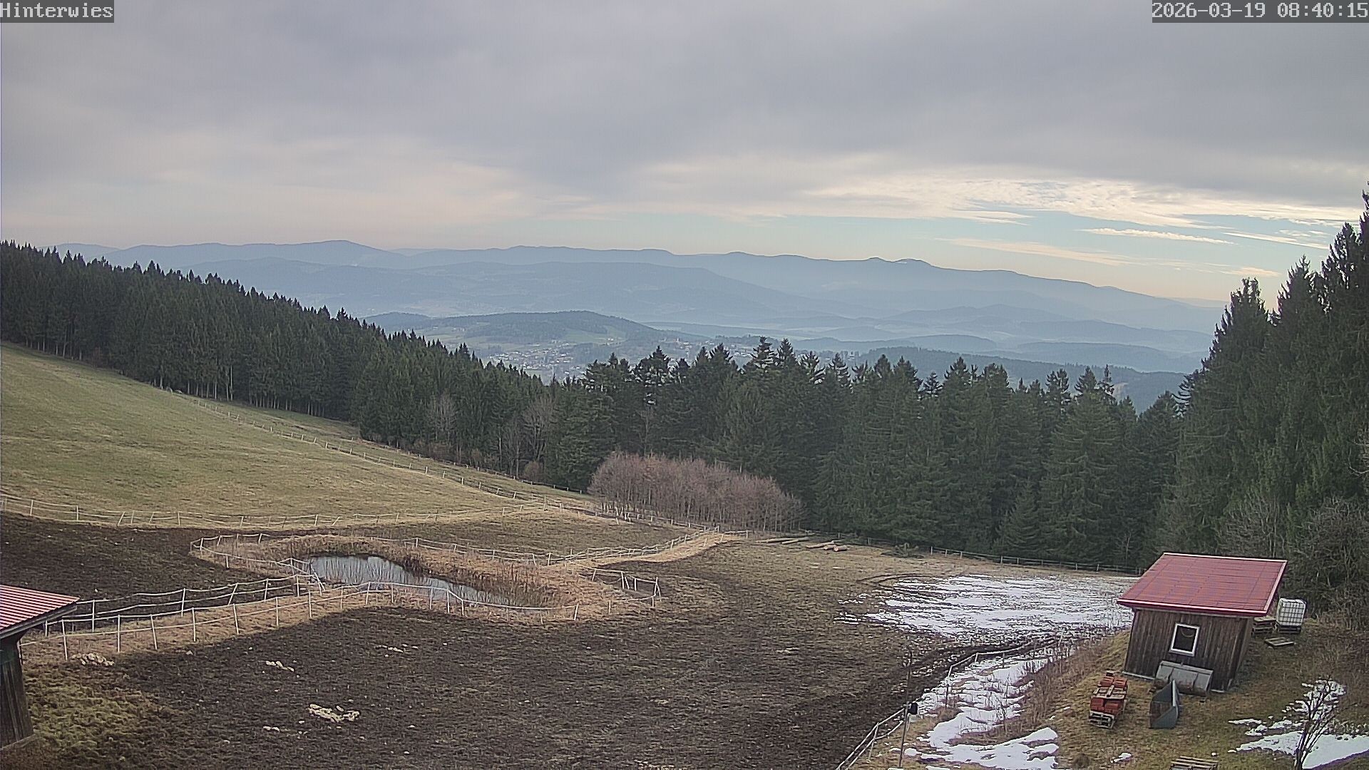 Archiv Foto Webcam Wetterstation Sankt Englmar-Hinterwies