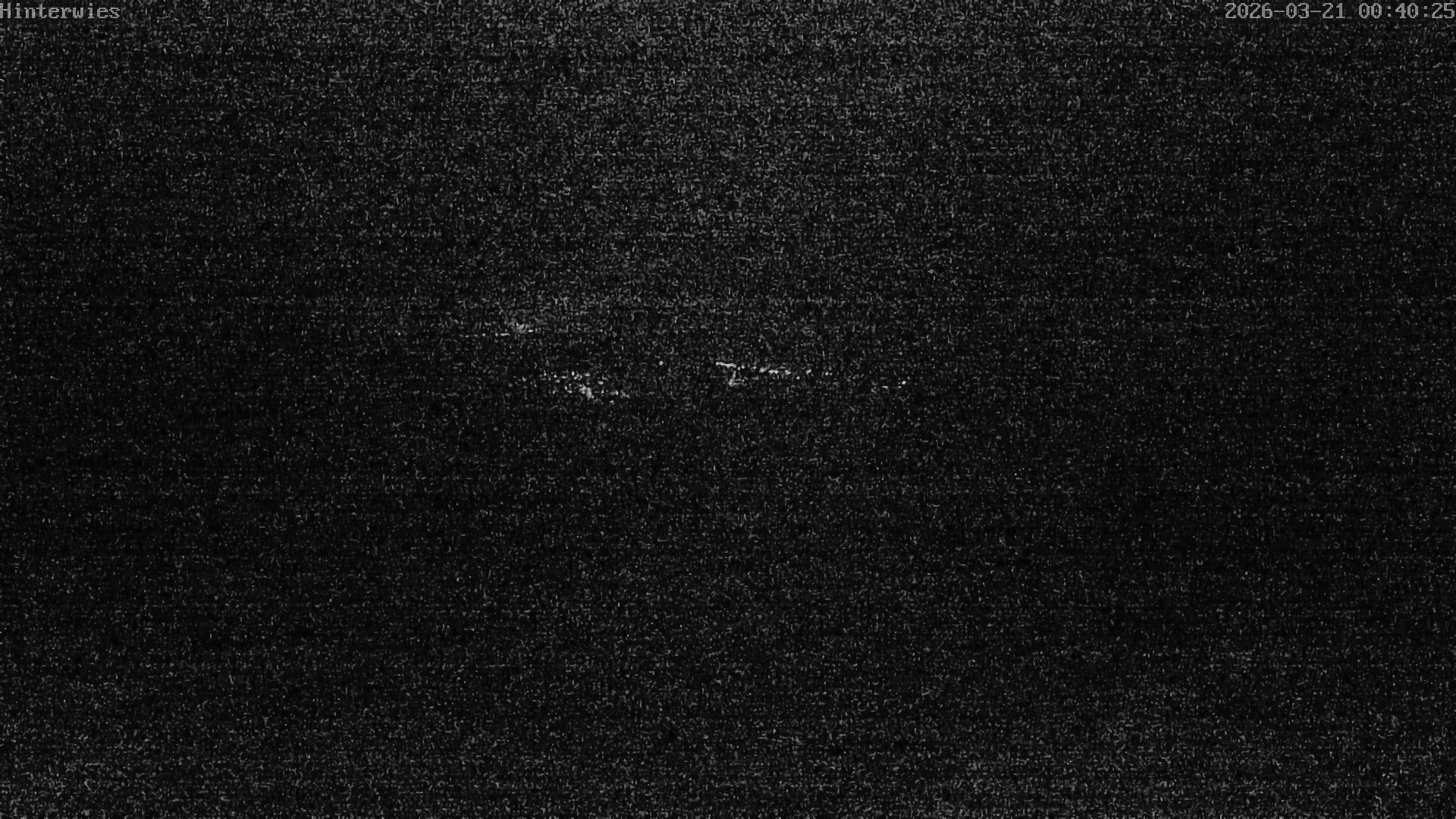 Archiv Foto Webcam Wetterstation Sankt Englmar-Hinterwies