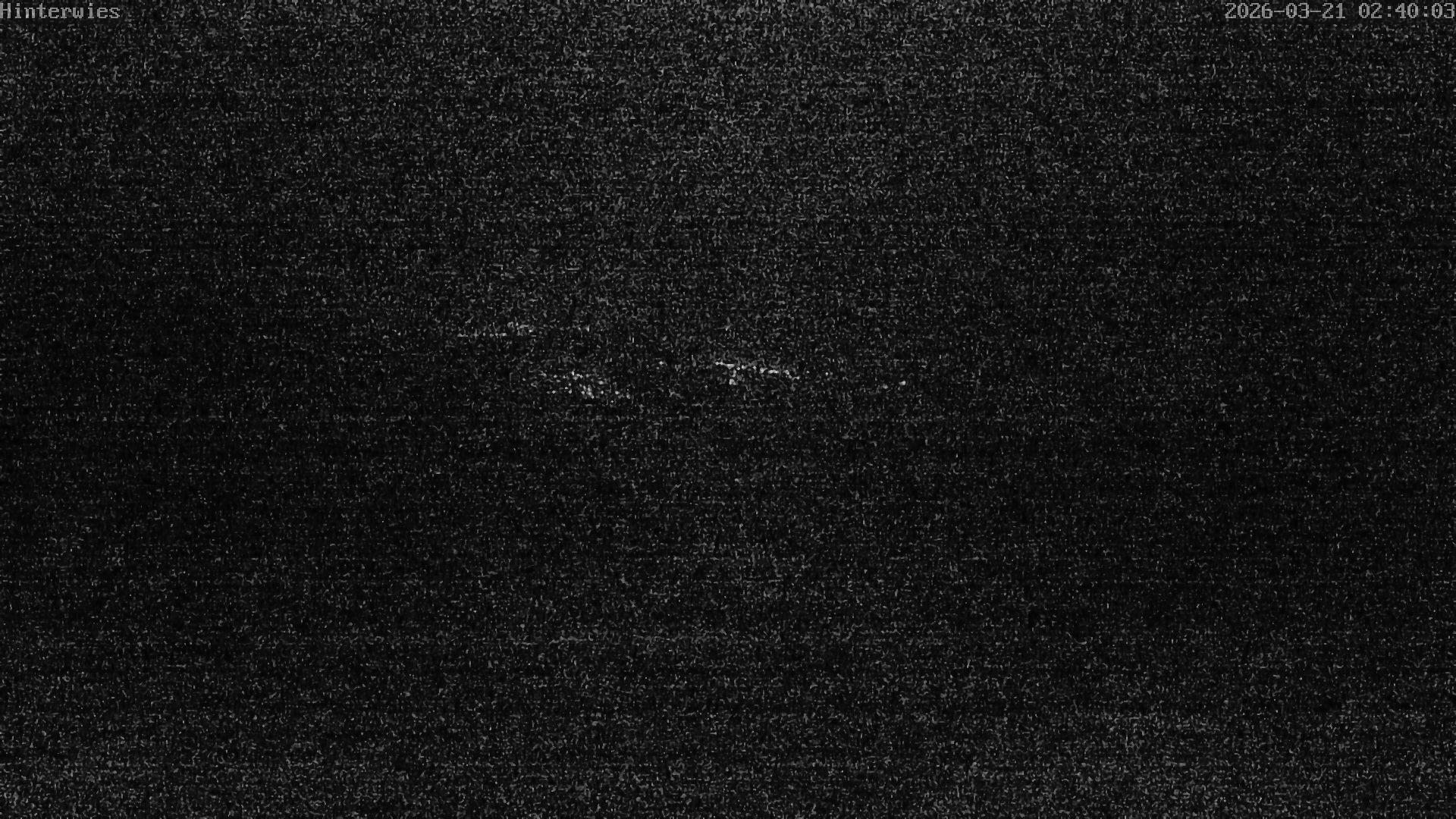 Archiv Foto Webcam Wetterstation Sankt Englmar-Hinterwies