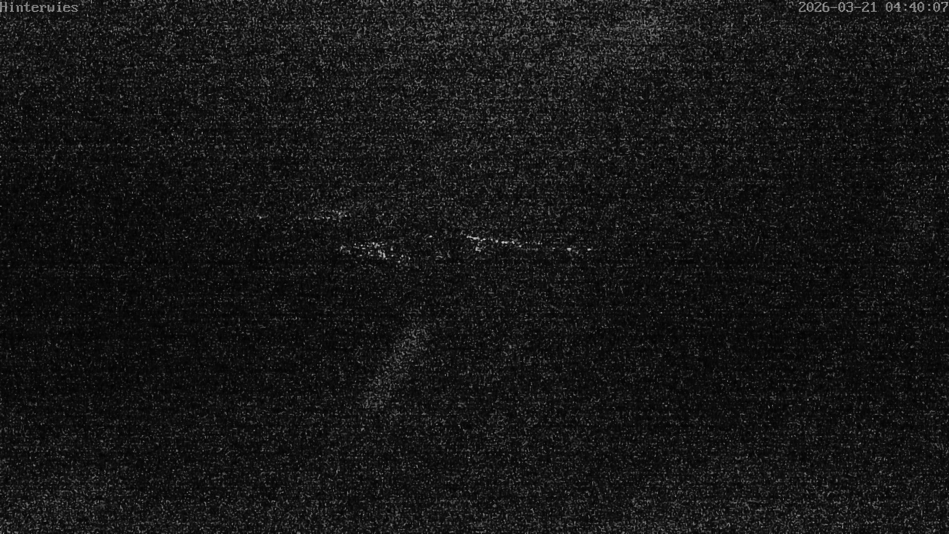 Archiv Foto Webcam Wetterstation Sankt Englmar-Hinterwies