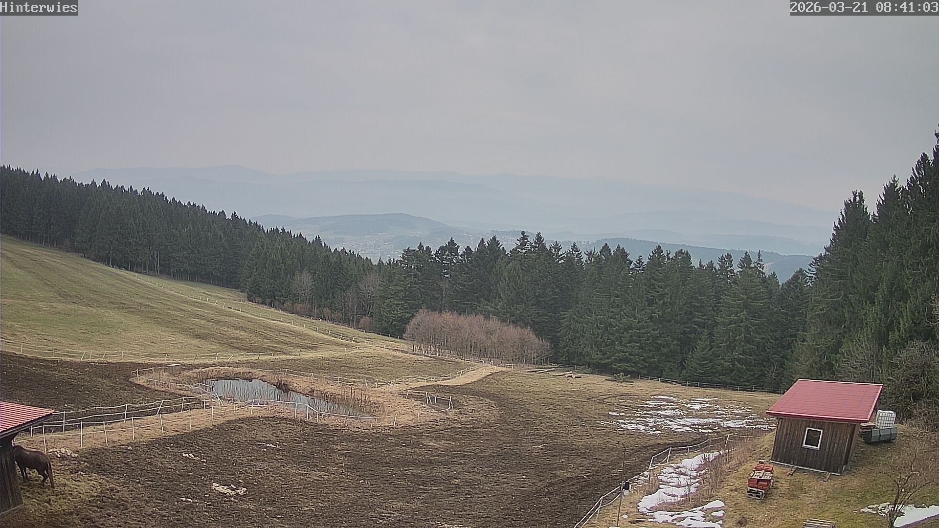 Archiv Foto Webcam Wetterstation Sankt Englmar-Hinterwies