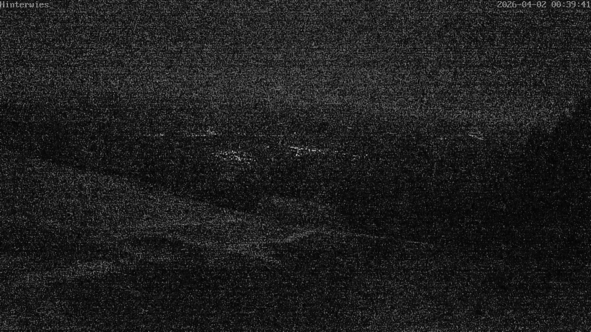 Archiv Foto Webcam Wetterstation Sankt Englmar-Hinterwies