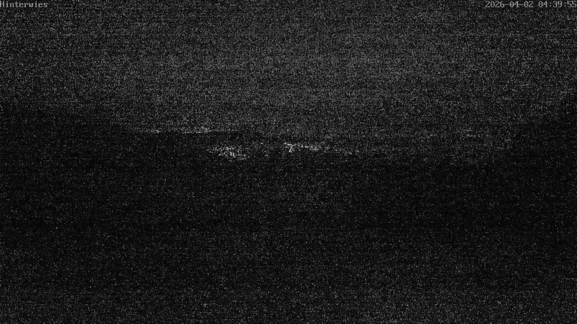 Archiv Foto Webcam Wetterstation Sankt Englmar-Hinterwies