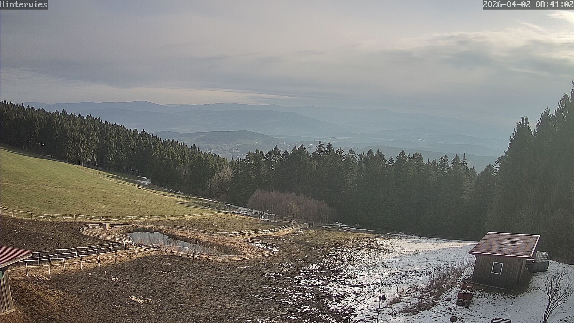 Archiv Foto Webcam Wetterstation Sankt Englmar-Hinterwies
